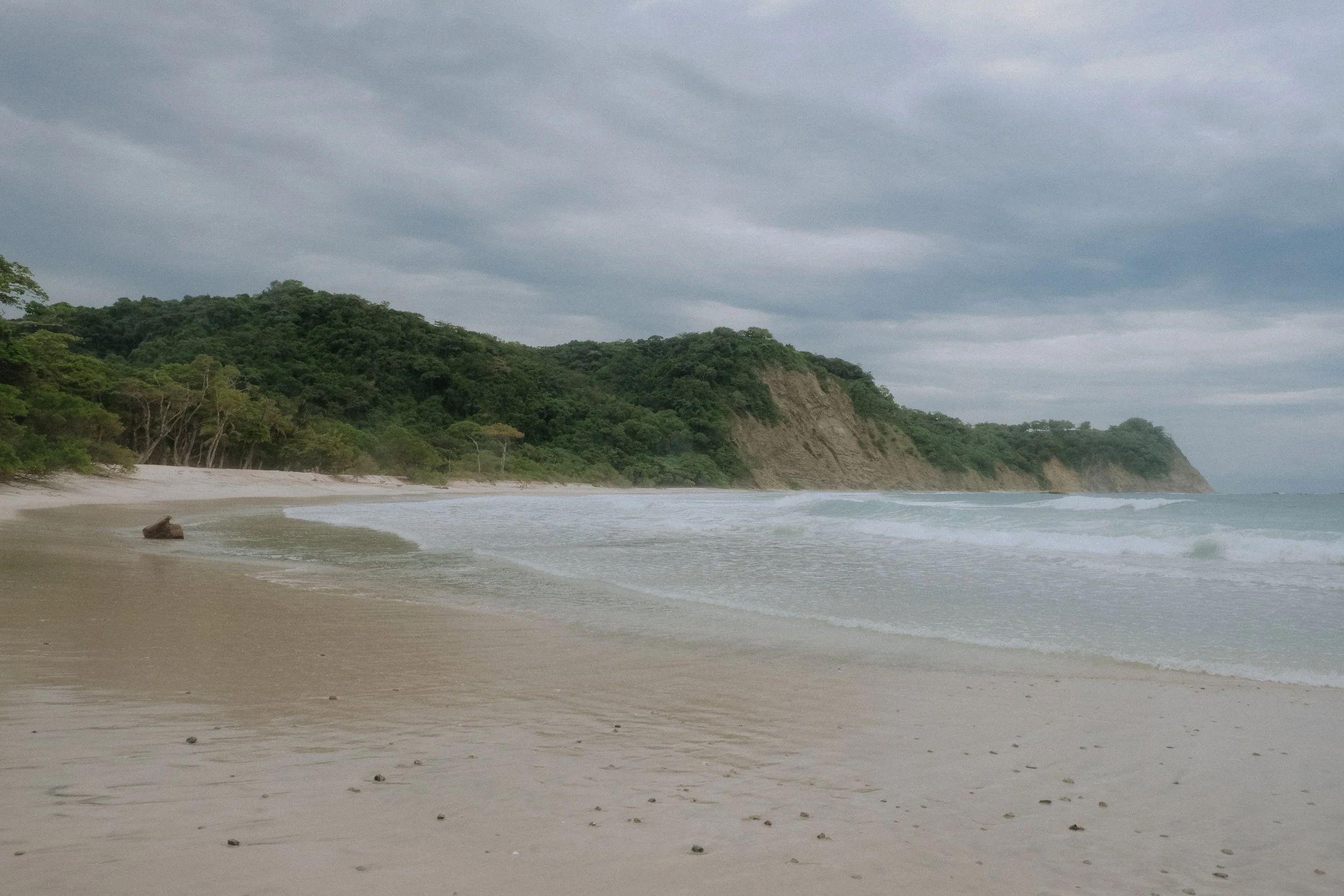 DSCF6110.jpg