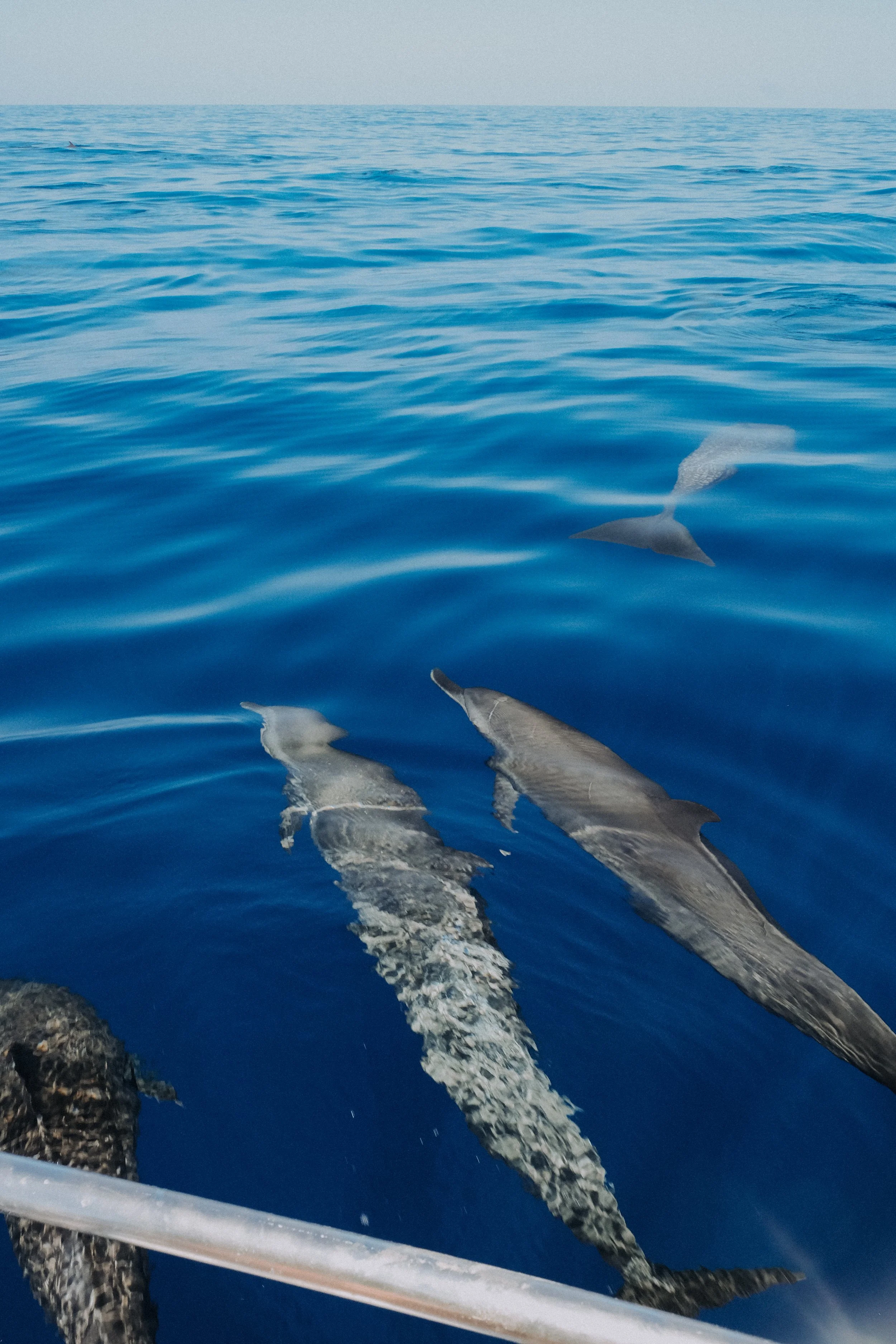 DSCF5733.jpg