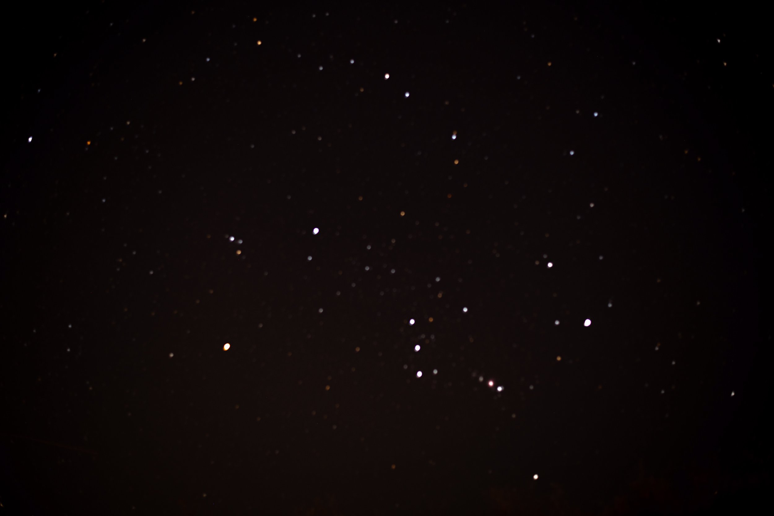 DSC_1220.jpg