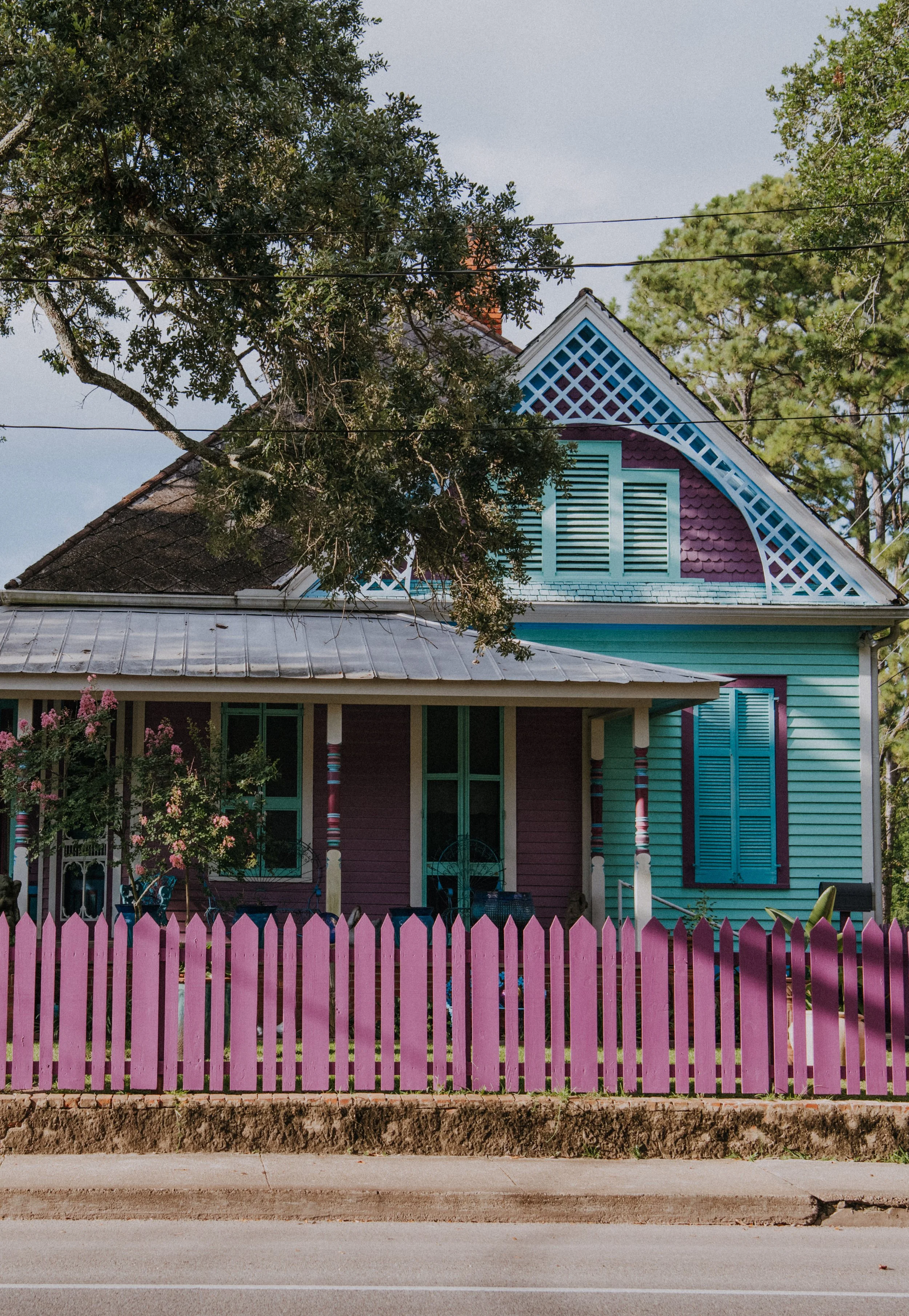 DSC_0803.jpg