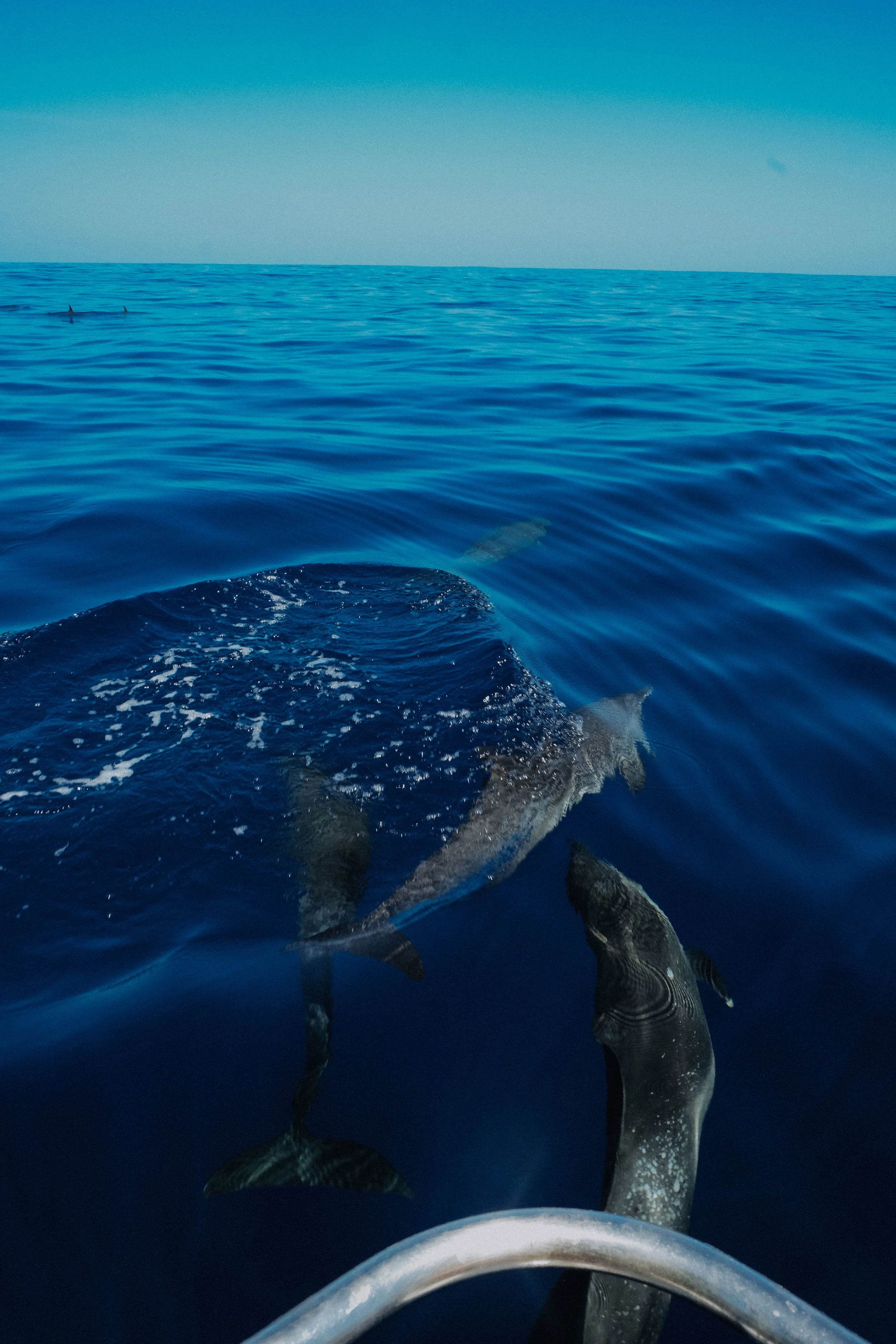 DSCF5739.jpg