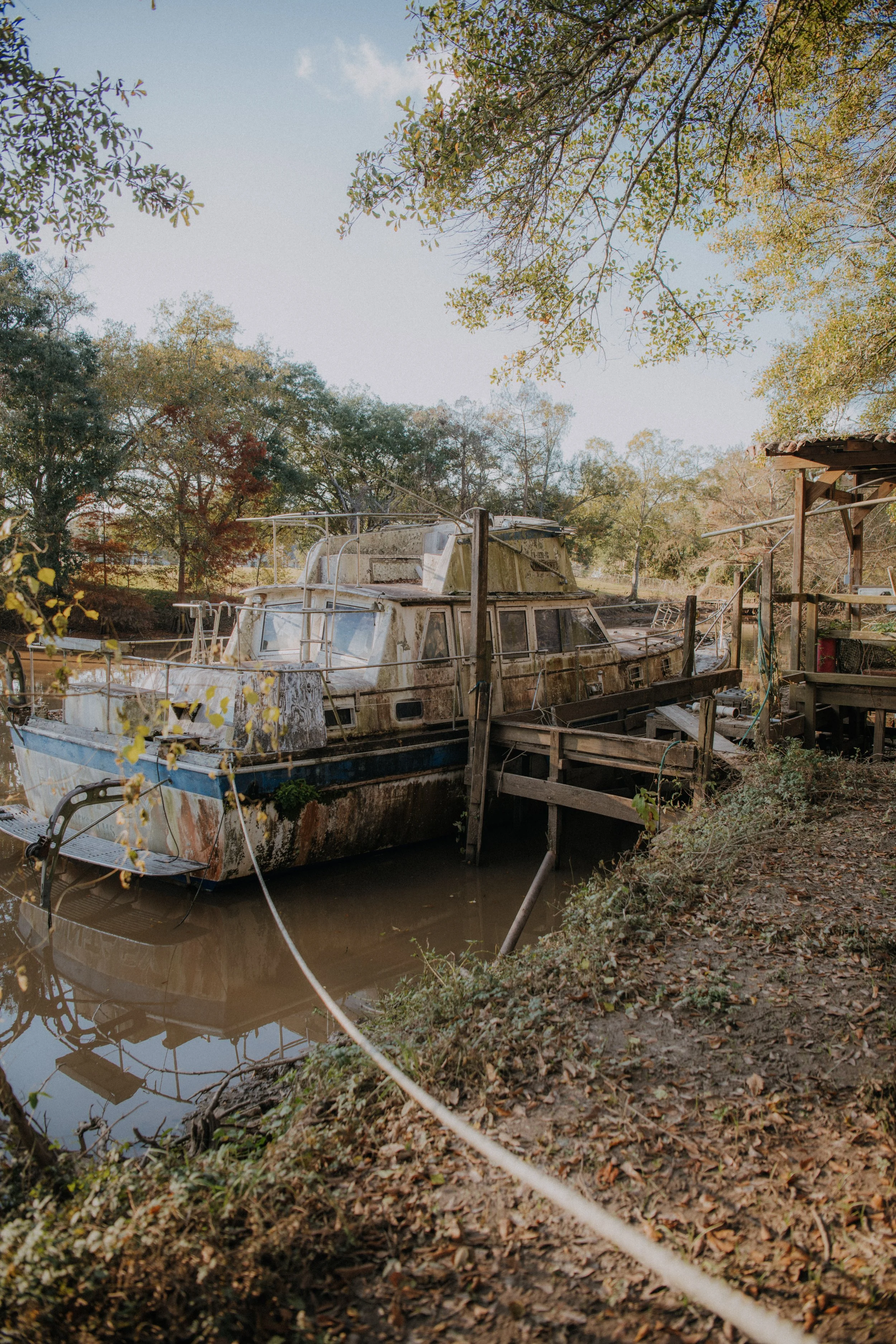 DSC_2294.jpg