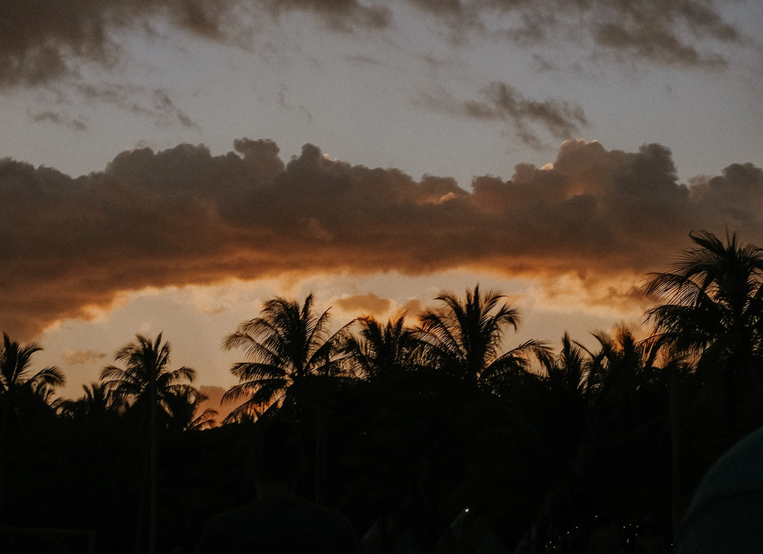 DSCF5668.jpg