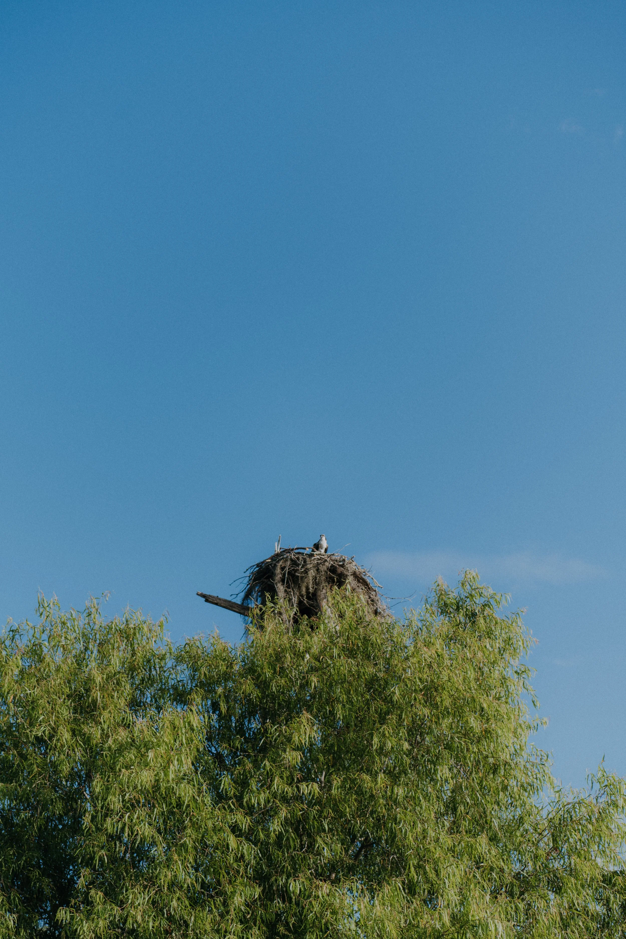 DSC_7108.jpg