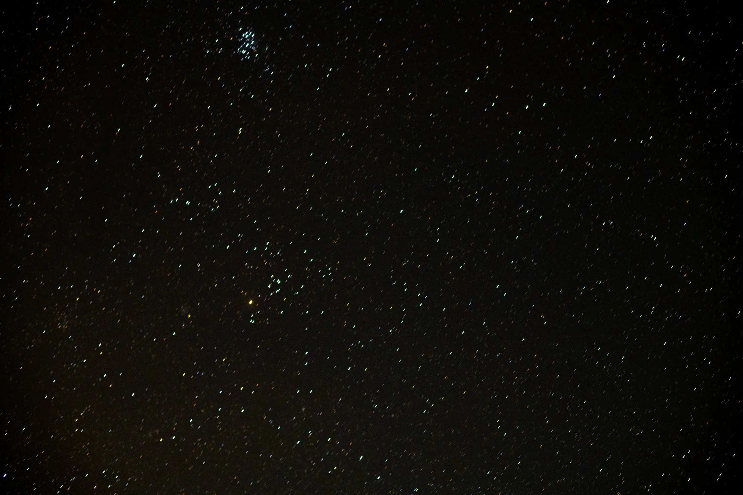 DSC_1250.jpg