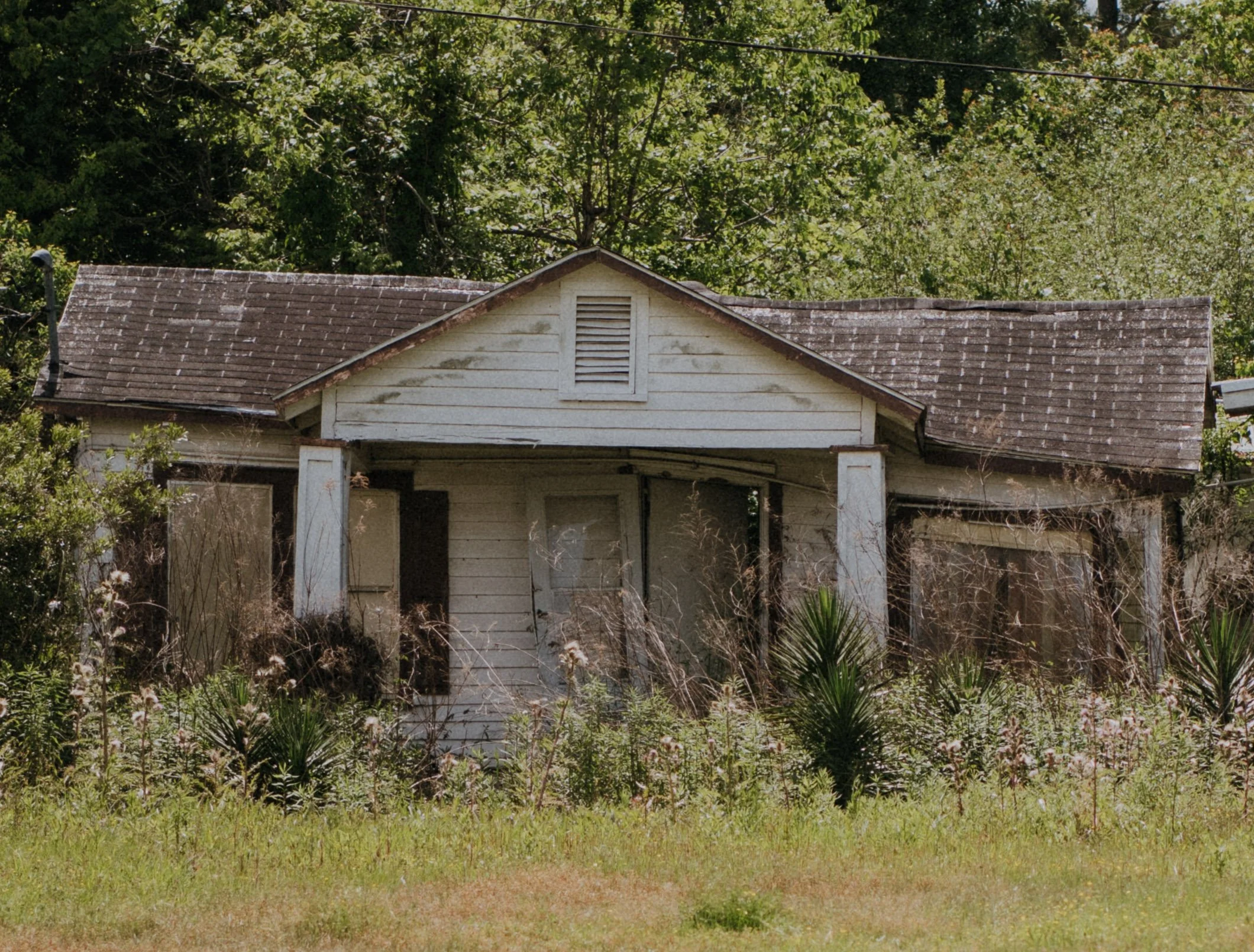 DSC_5638.jpg