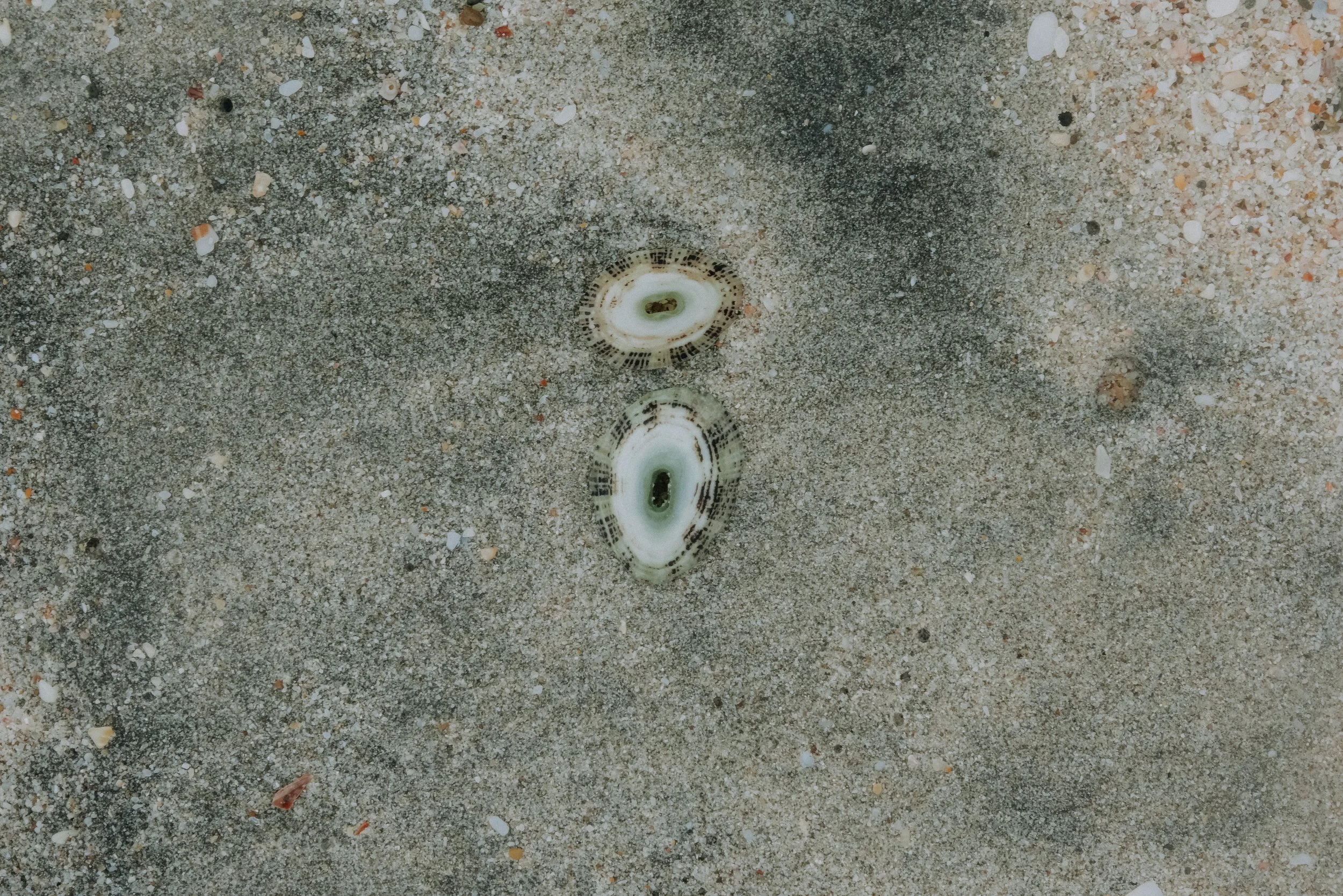DSCF6042.jpg