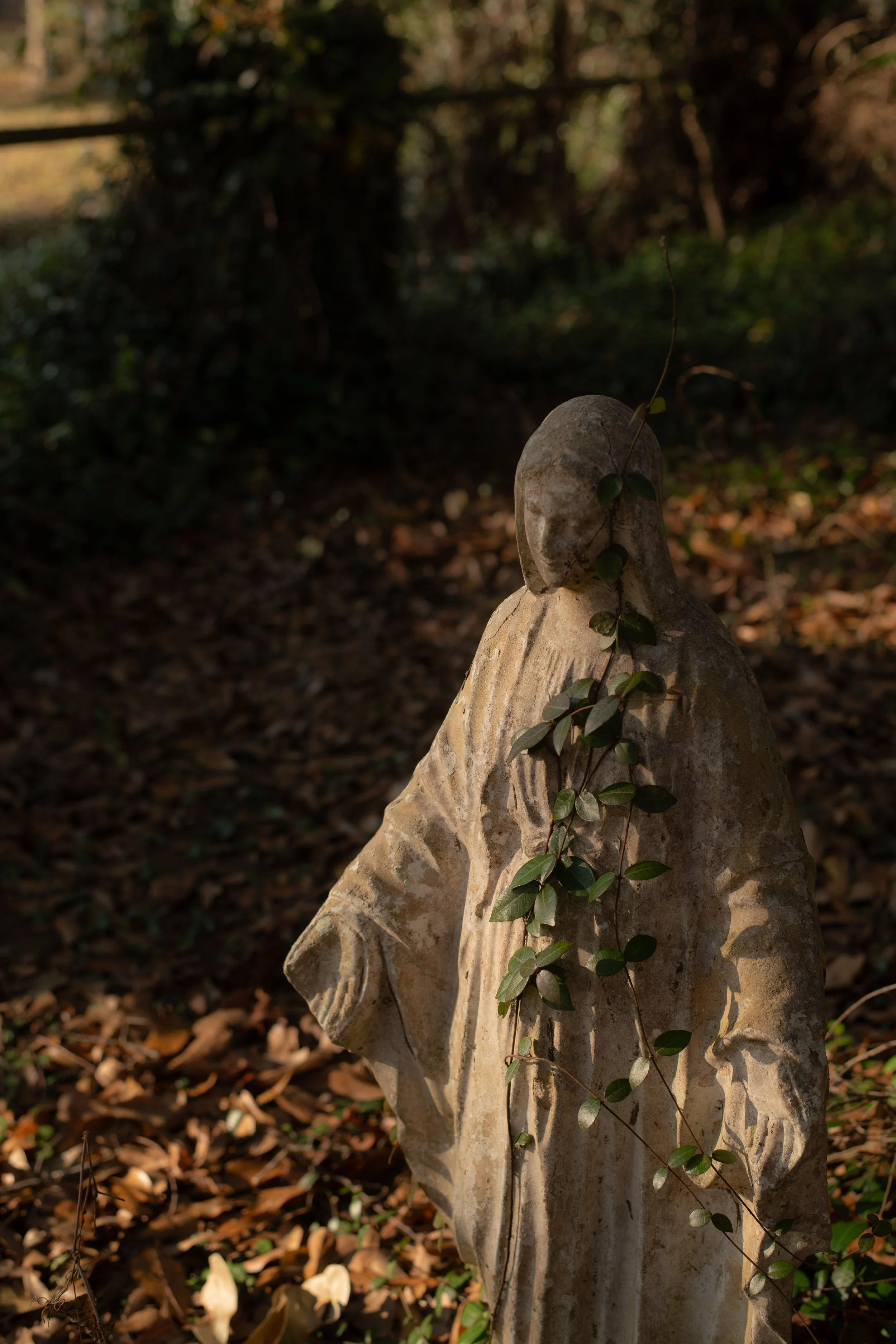 DSC_2269.jpg