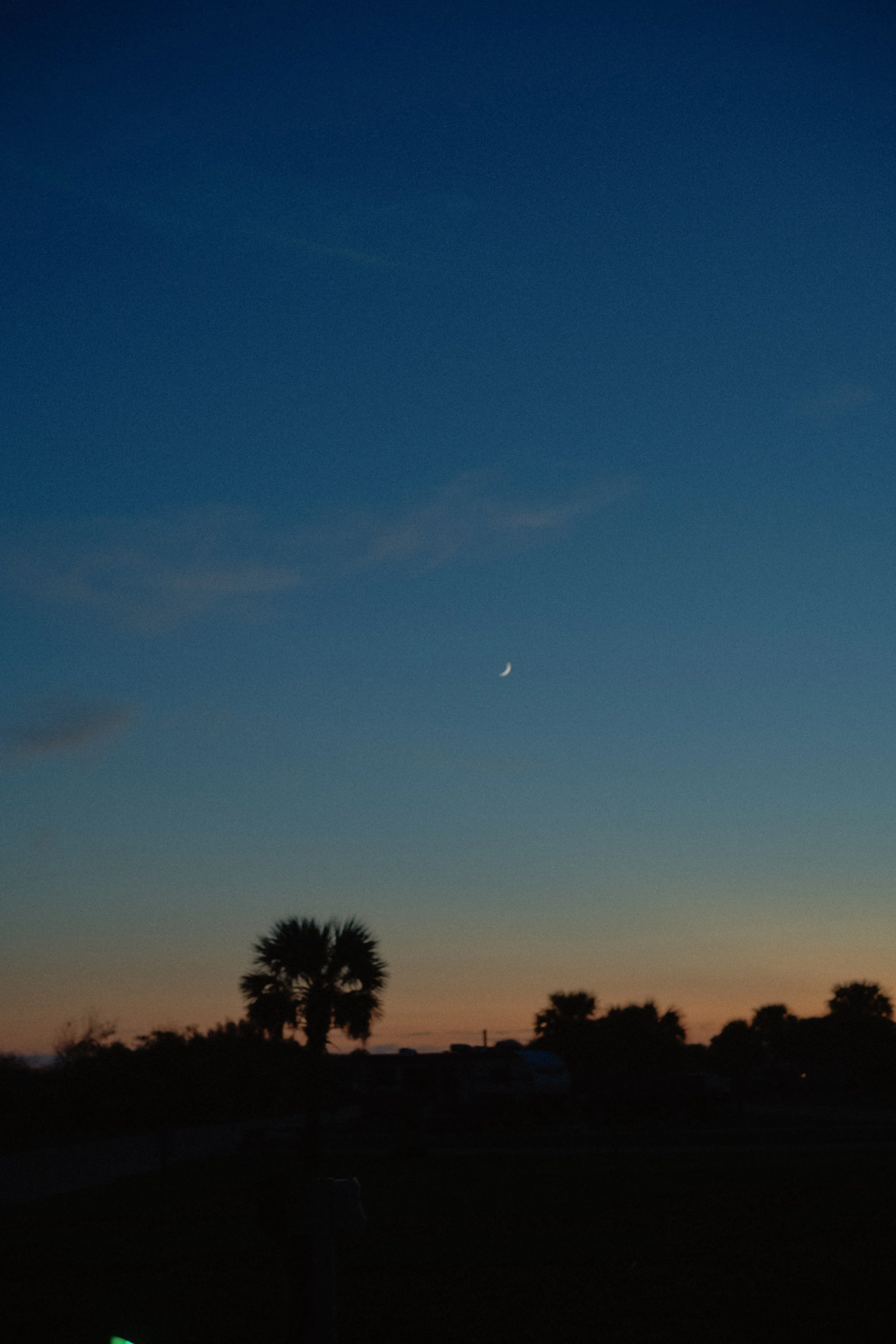 DSC_1261.jpg