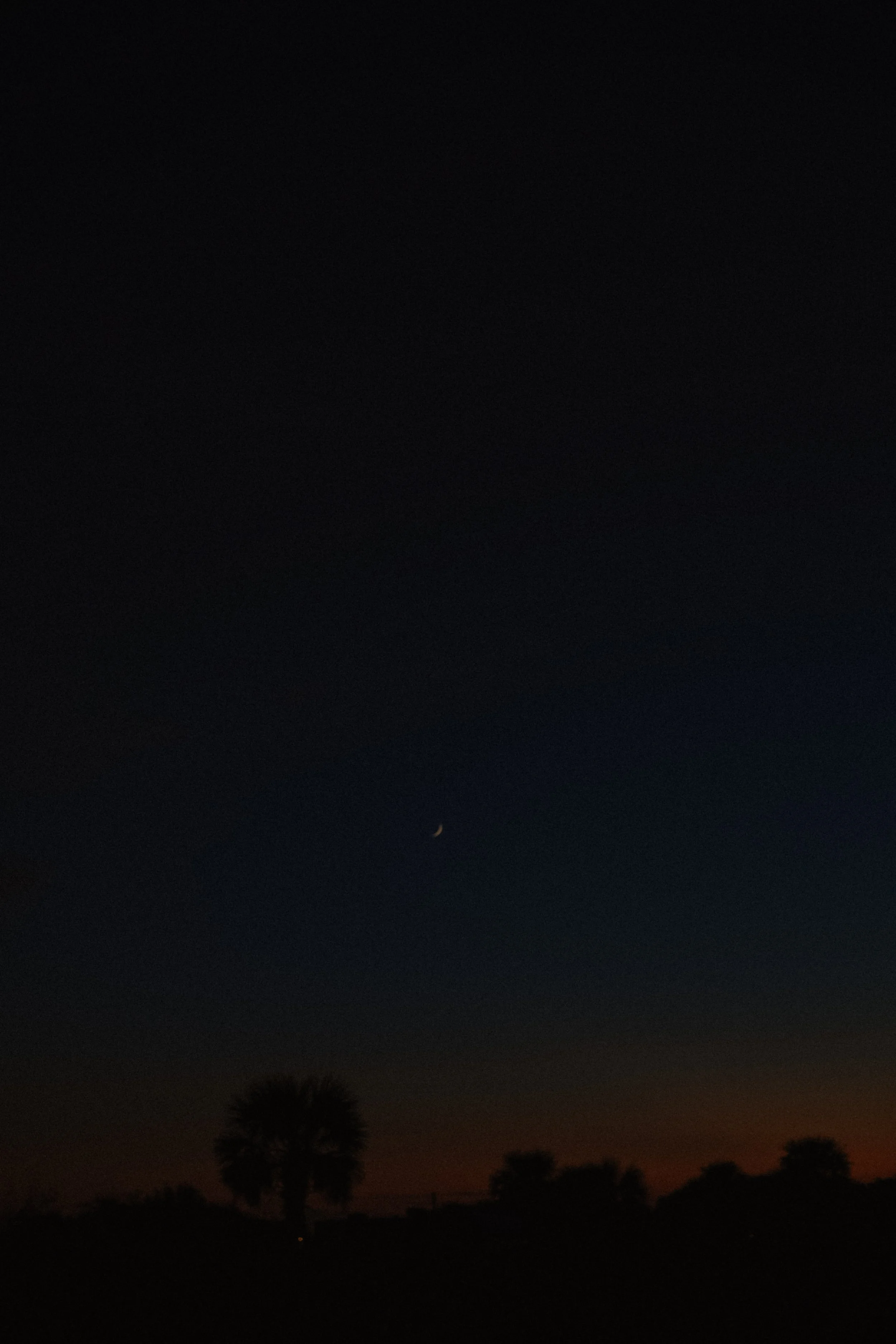 DSC_1265.jpg