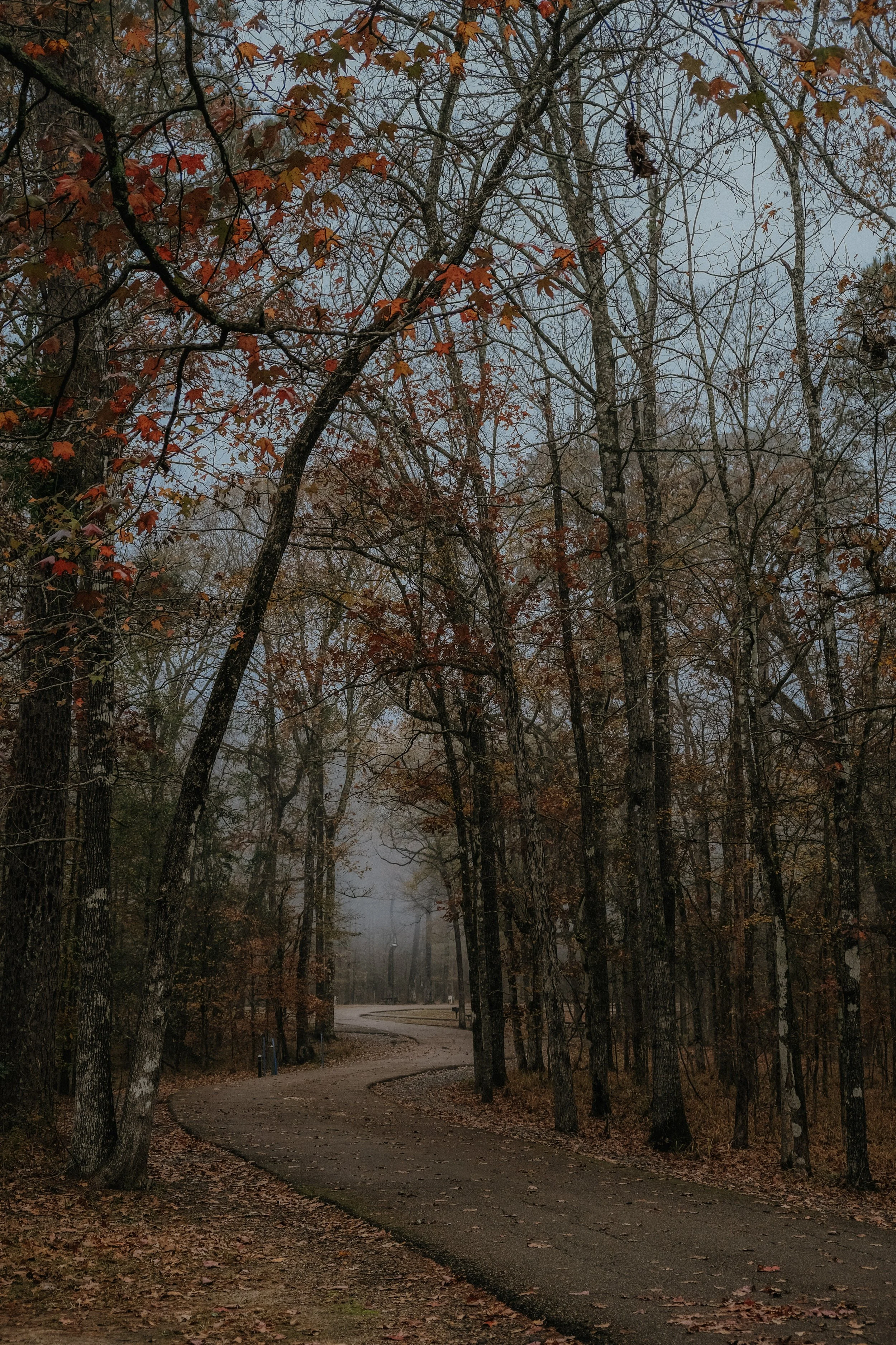 Chicot State Park