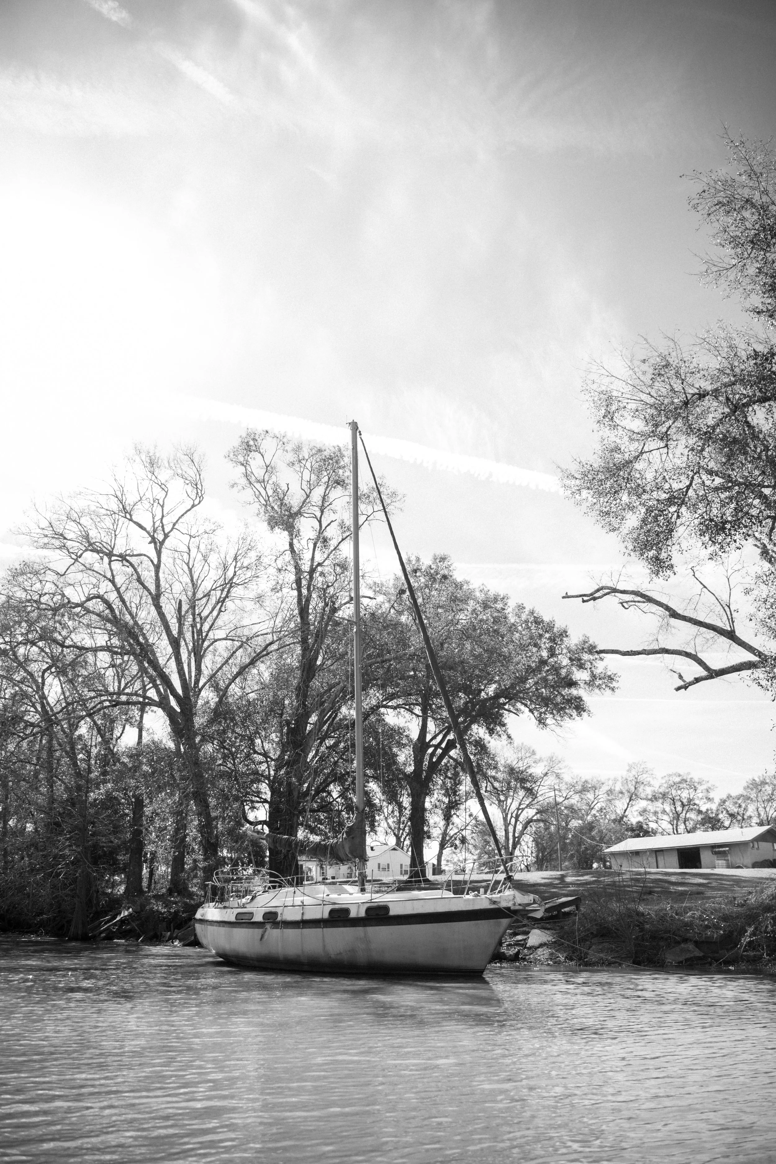 DSC_3310.jpg