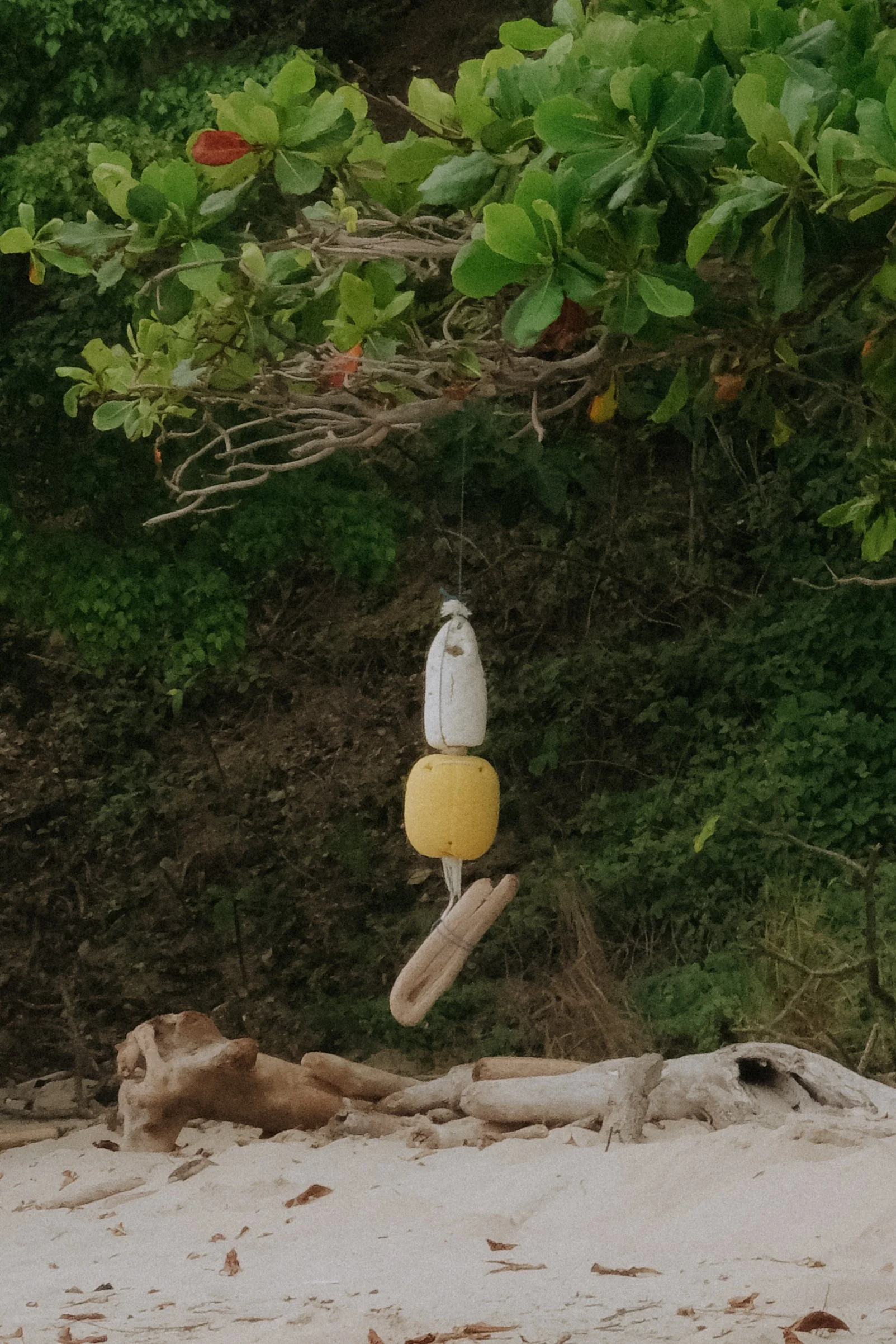 DSCF6071.jpg