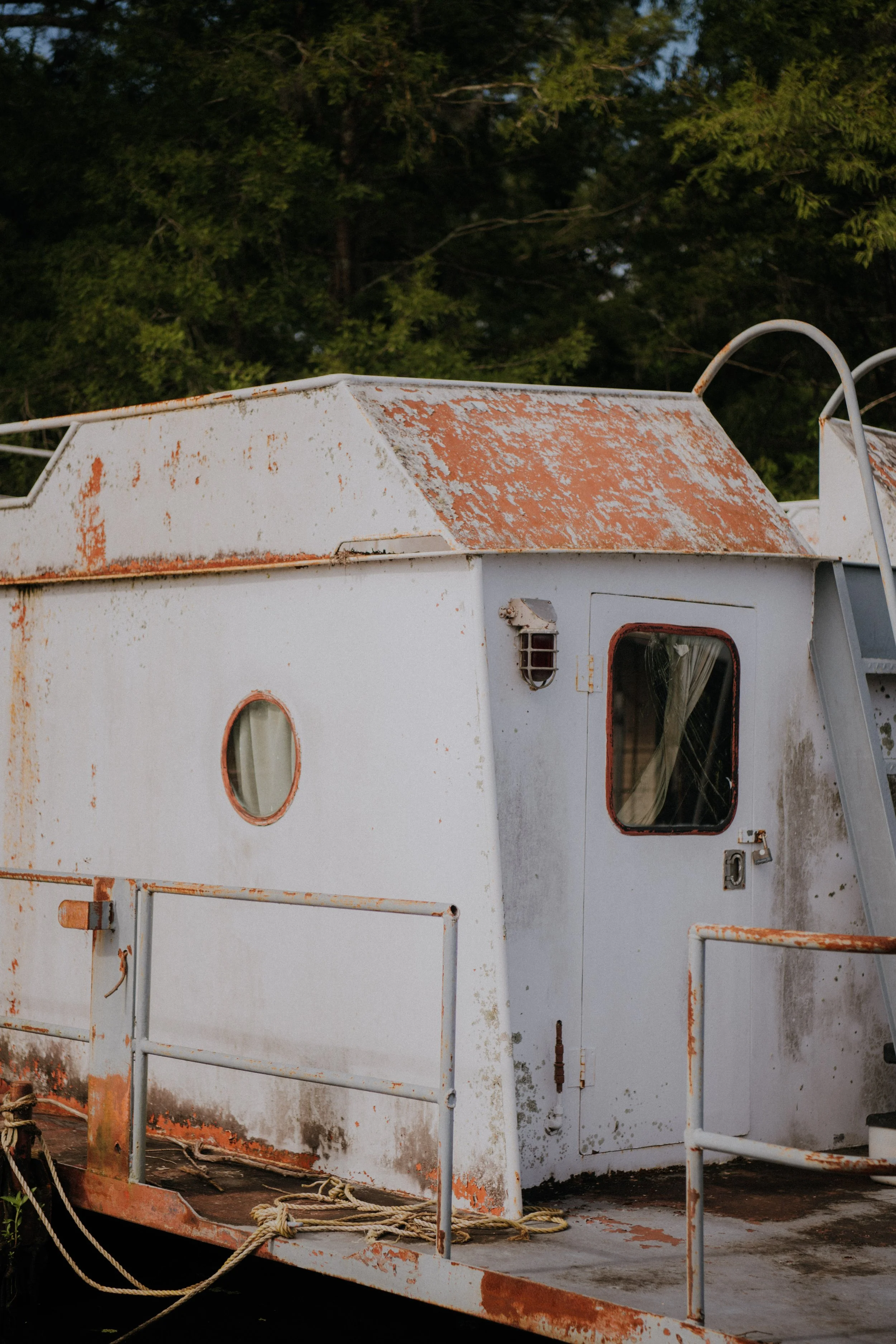 DSC_7282.jpg