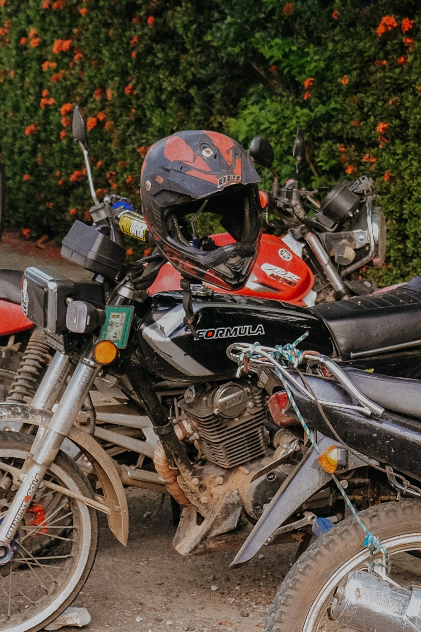 DSCF5850.jpg