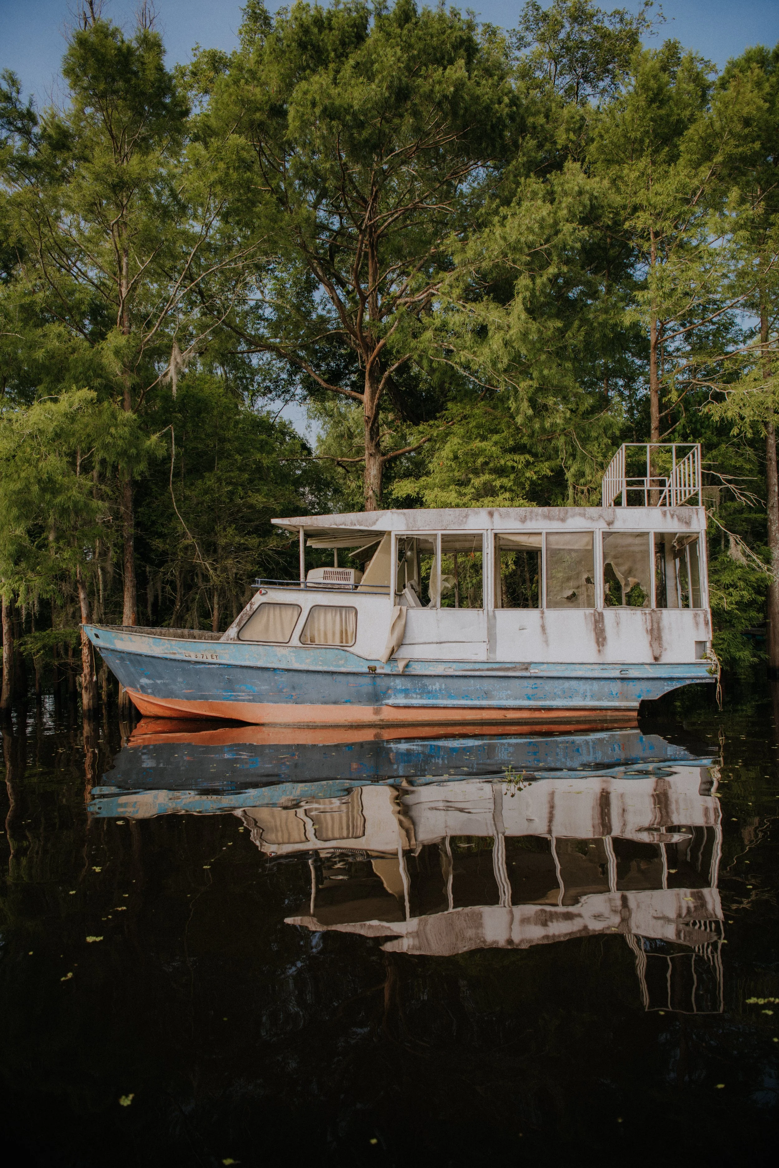 DSC_7307.jpg
