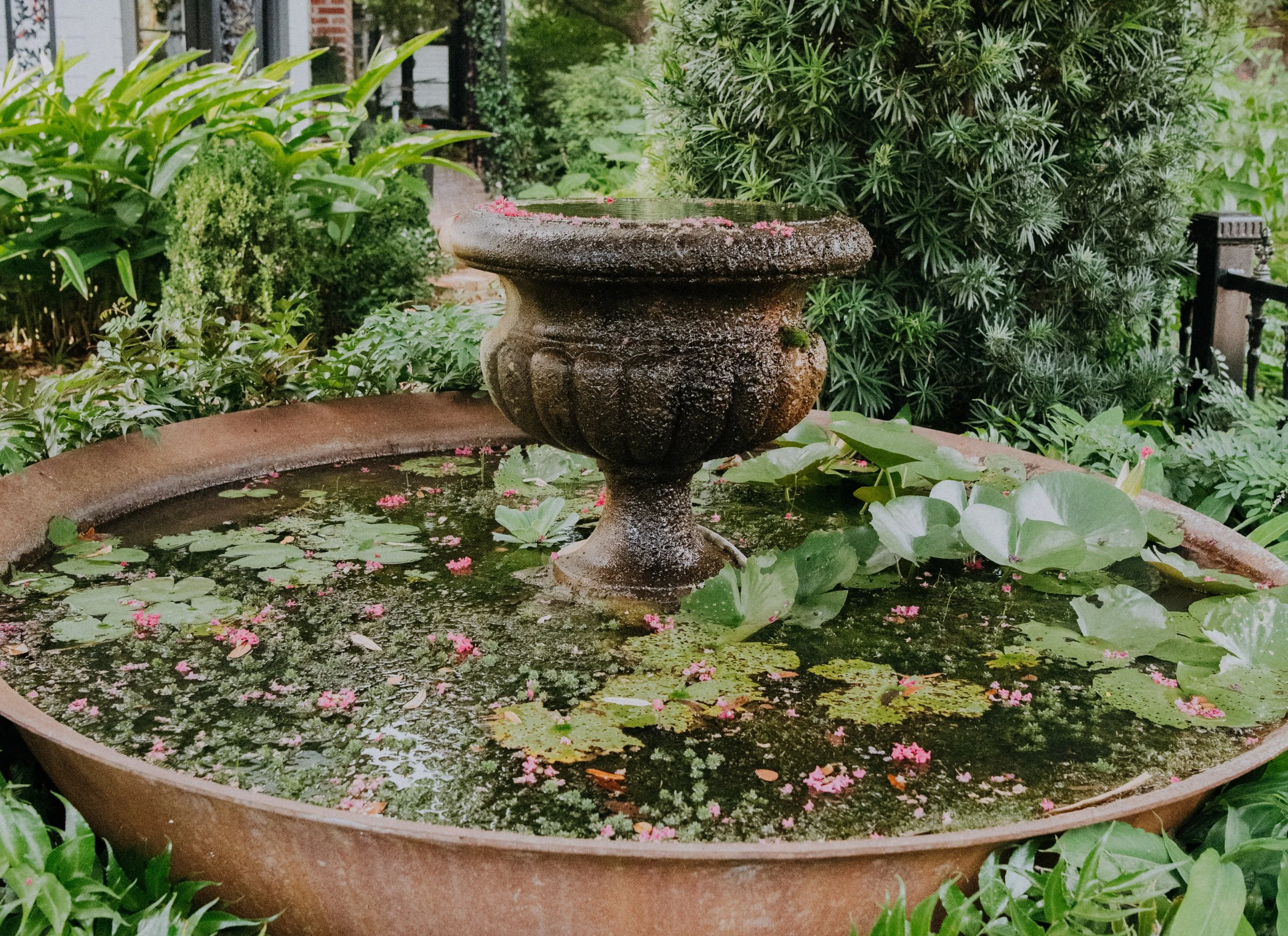 DSC_0744.jpg