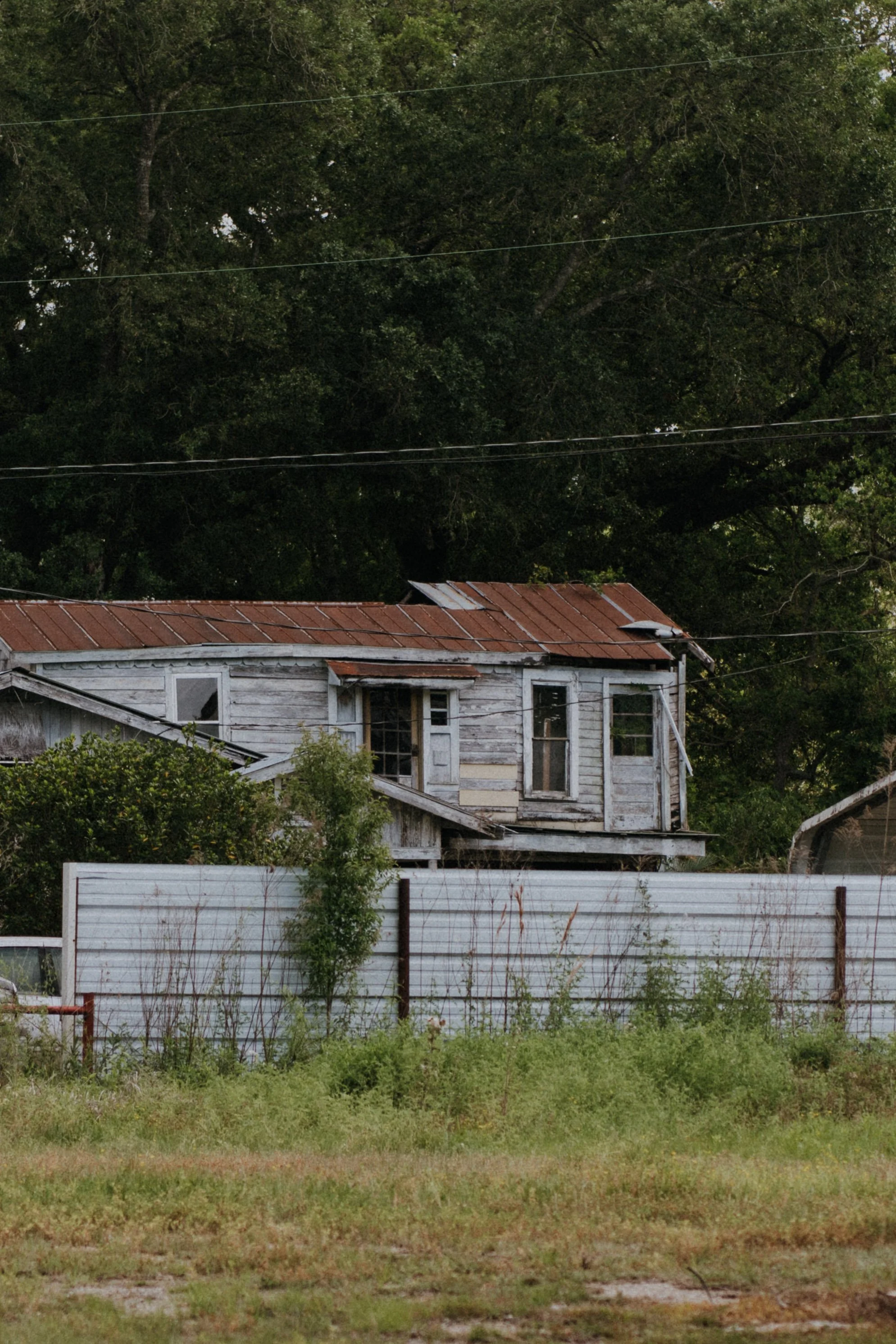DSC_5672.jpg
