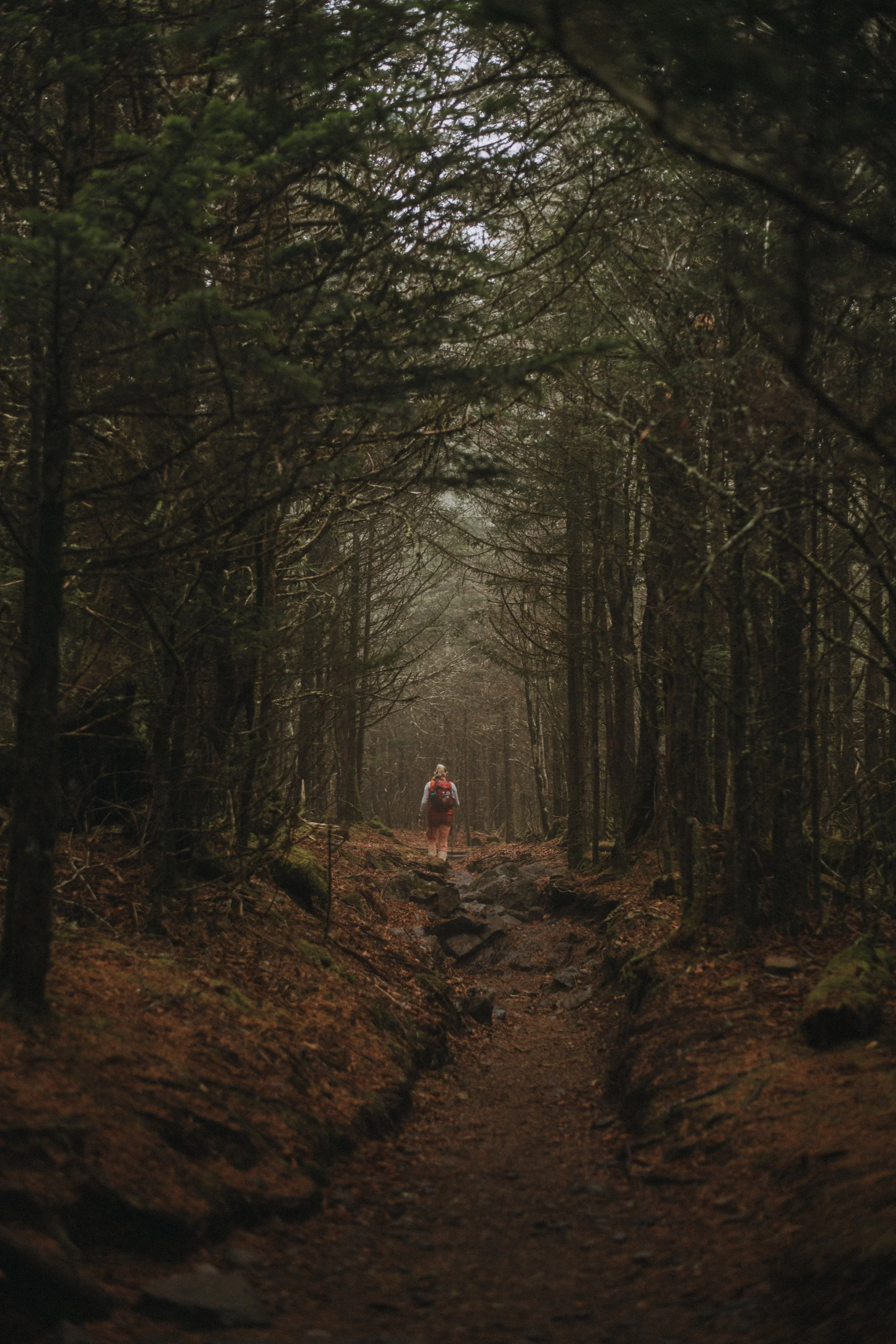 The Great Smoky Mountains