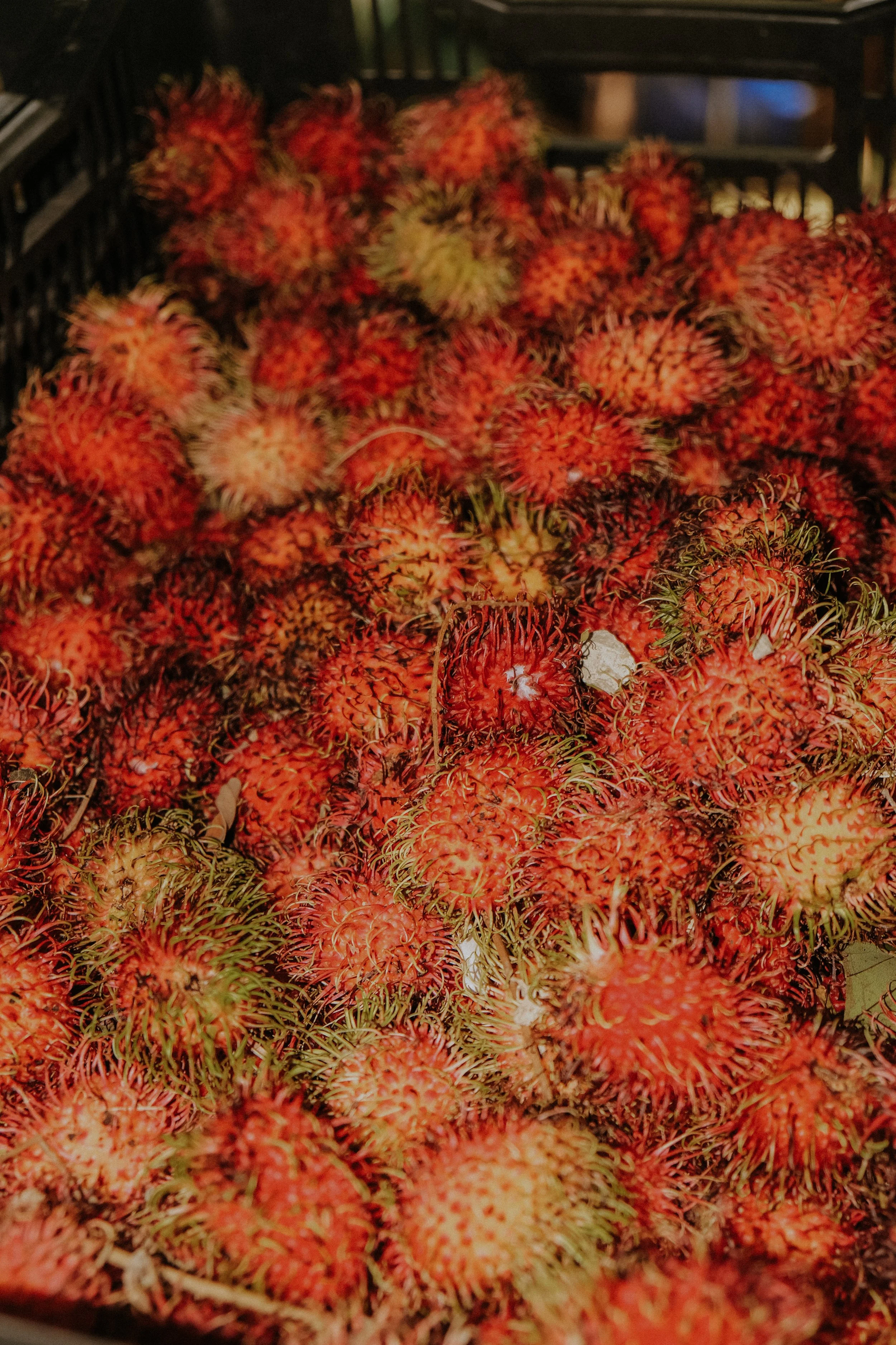 DSCF5898.jpg