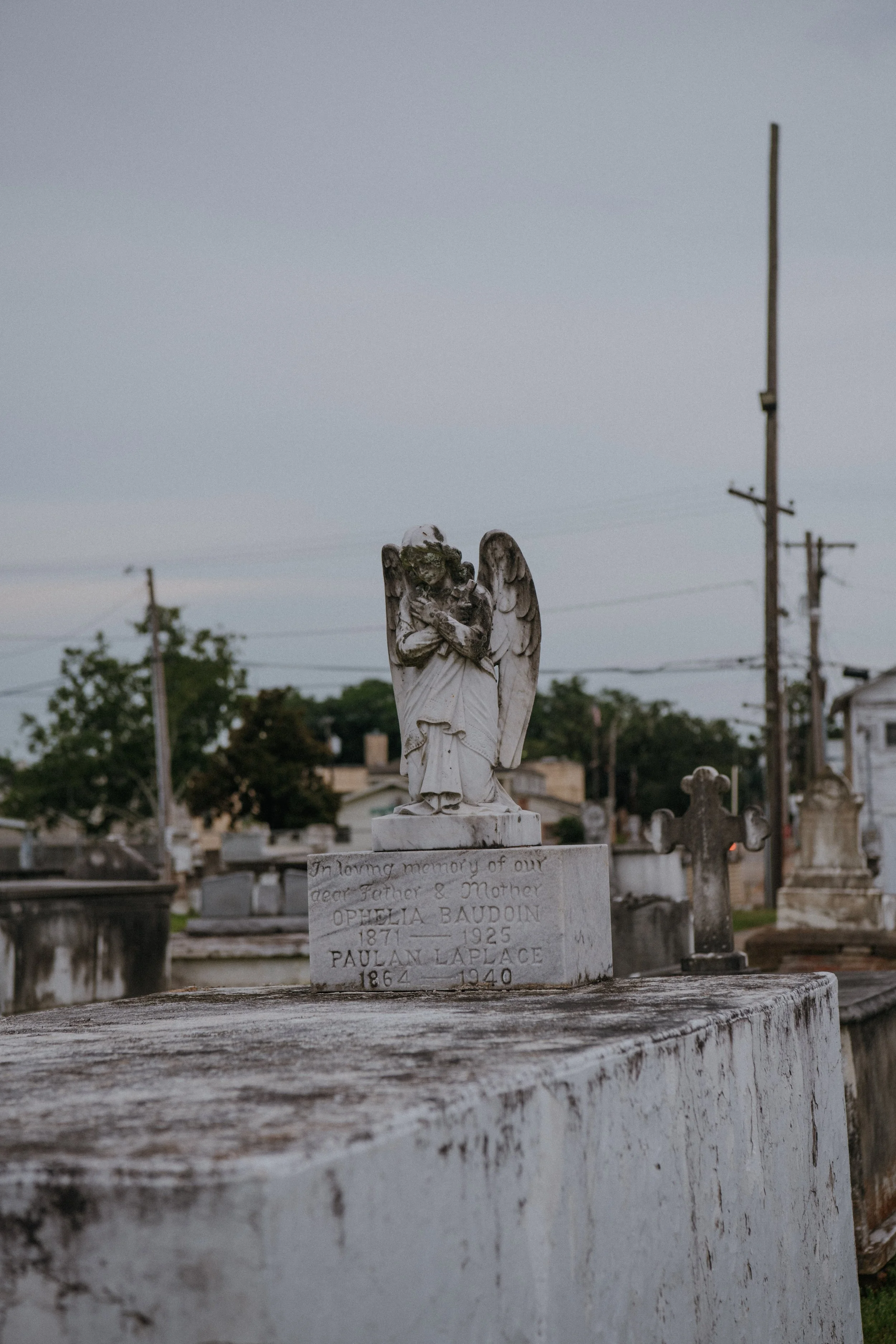 DSC_1431.jpg