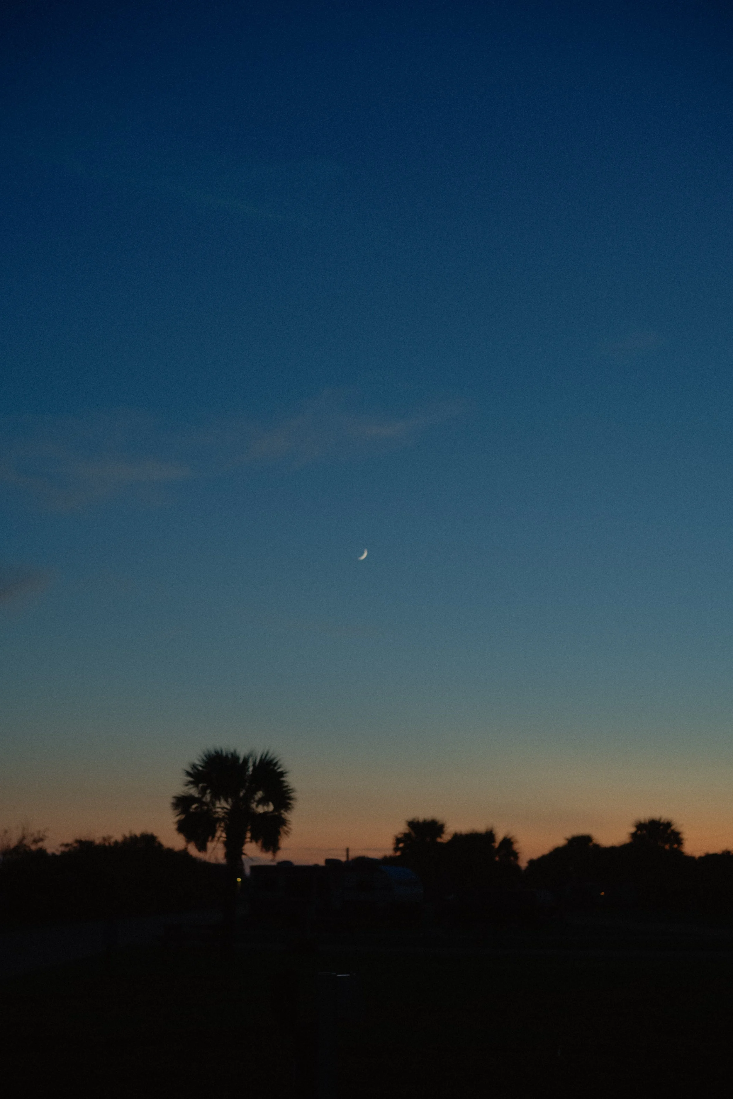 DSC_1262.jpg