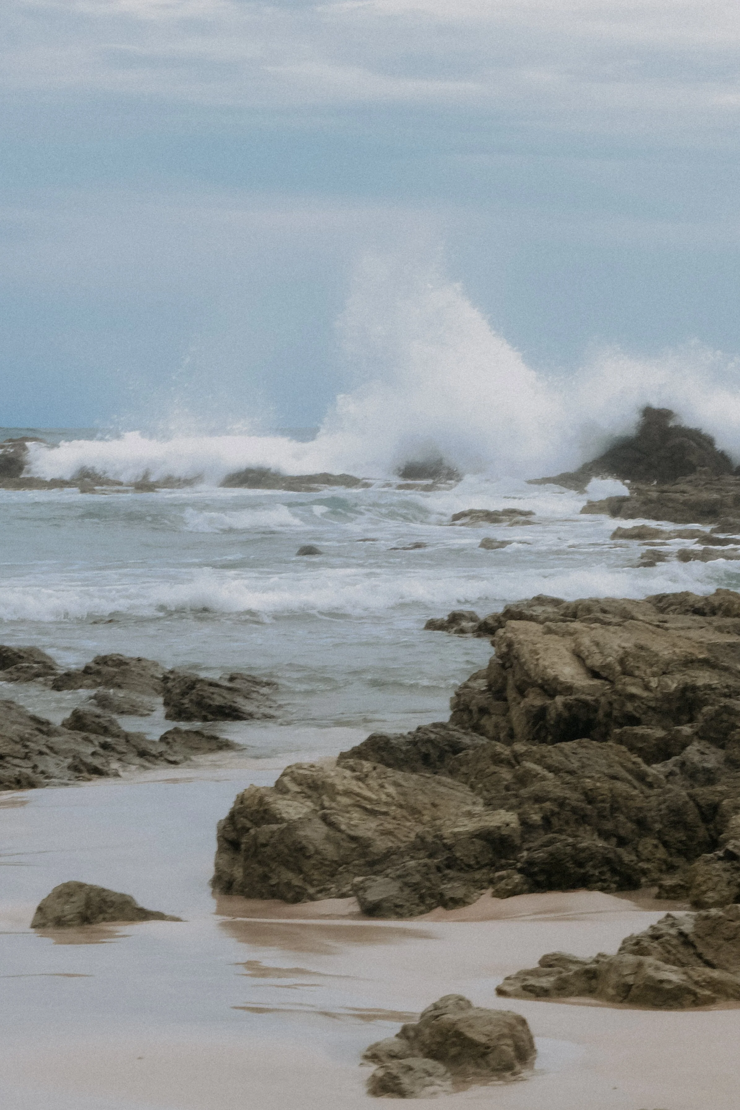 DSCF6081.jpg