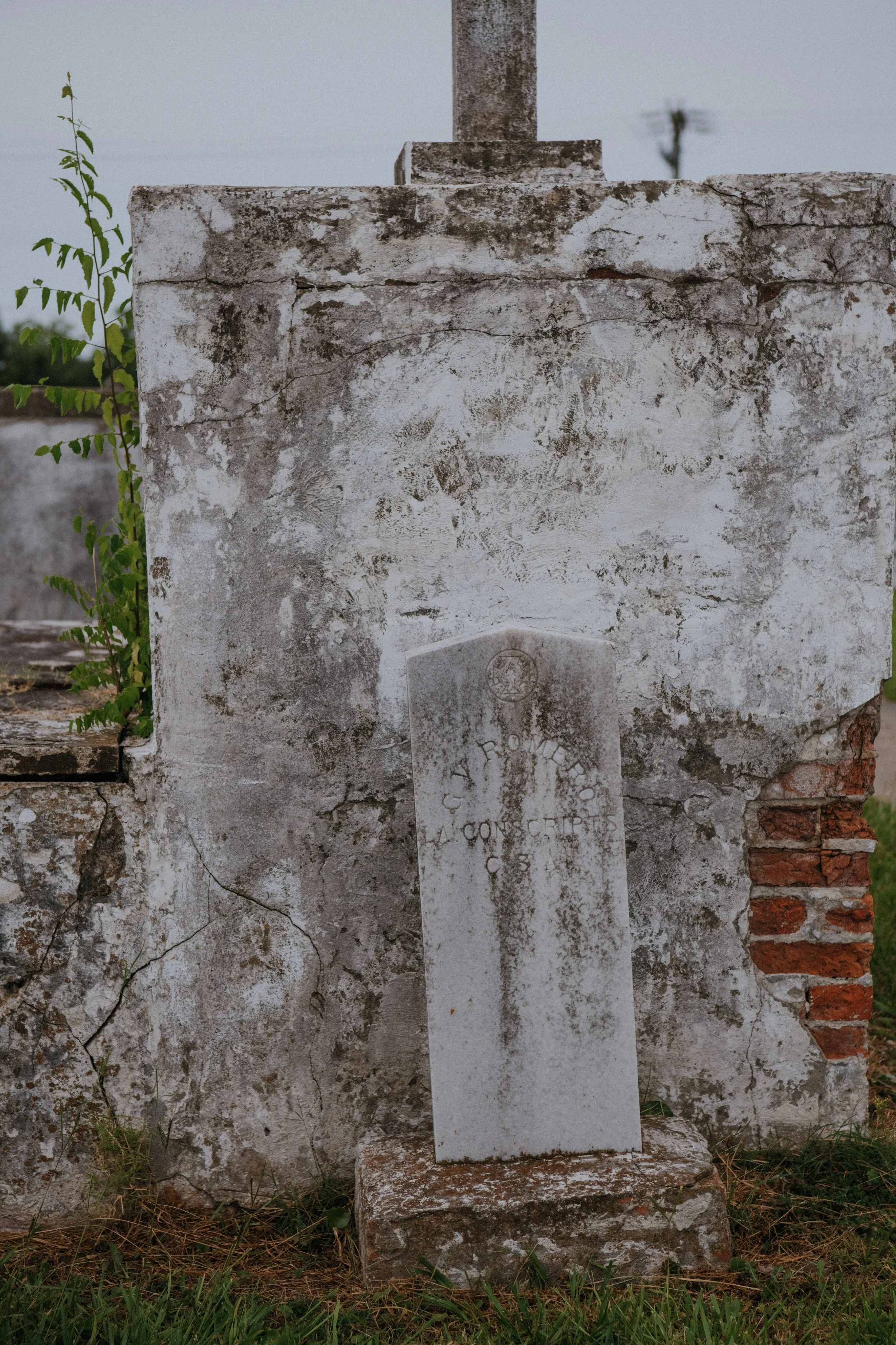 DSC_1453.jpg