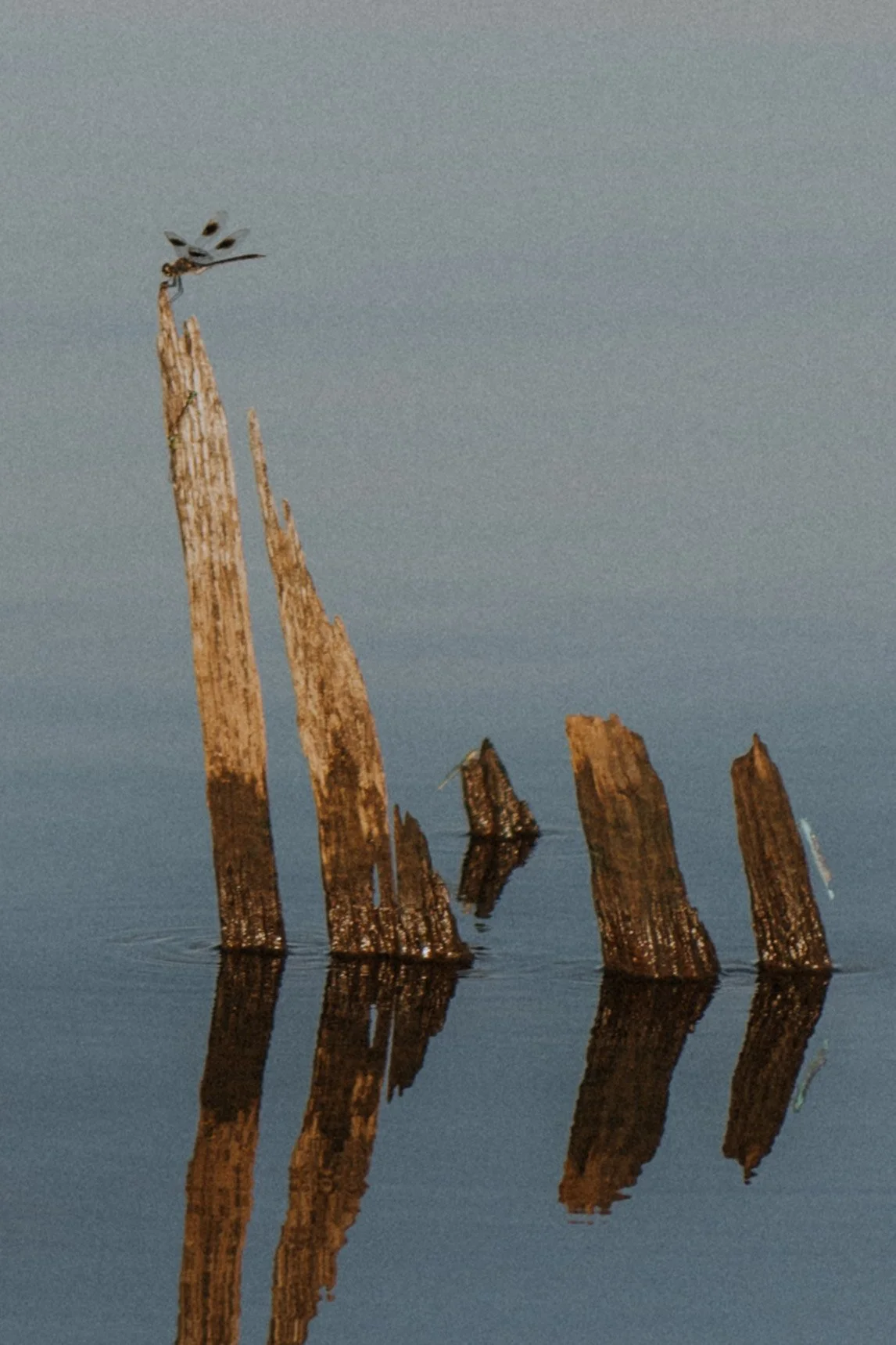 DSC_7049.jpg