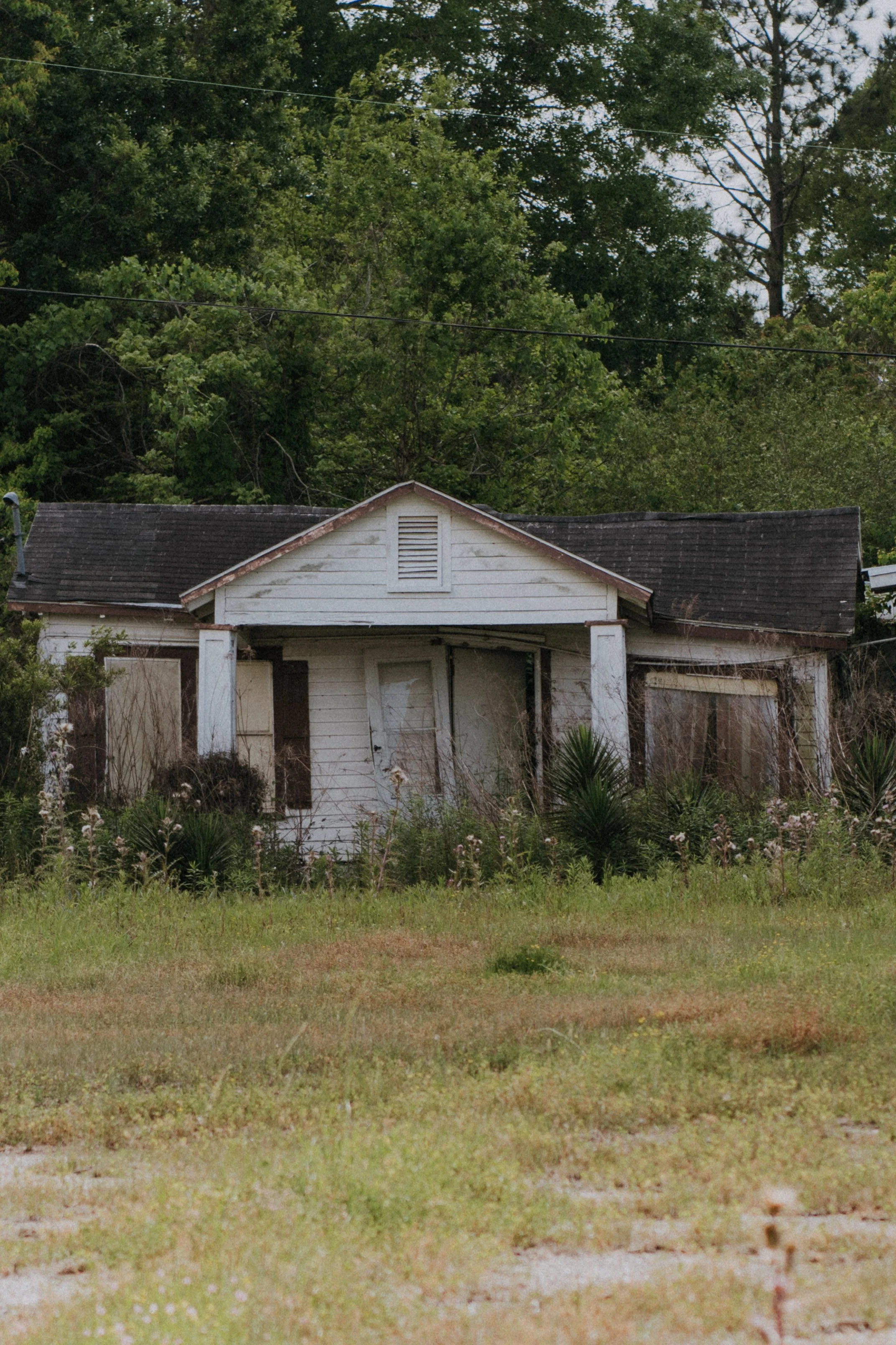 DSC_5642.jpg
