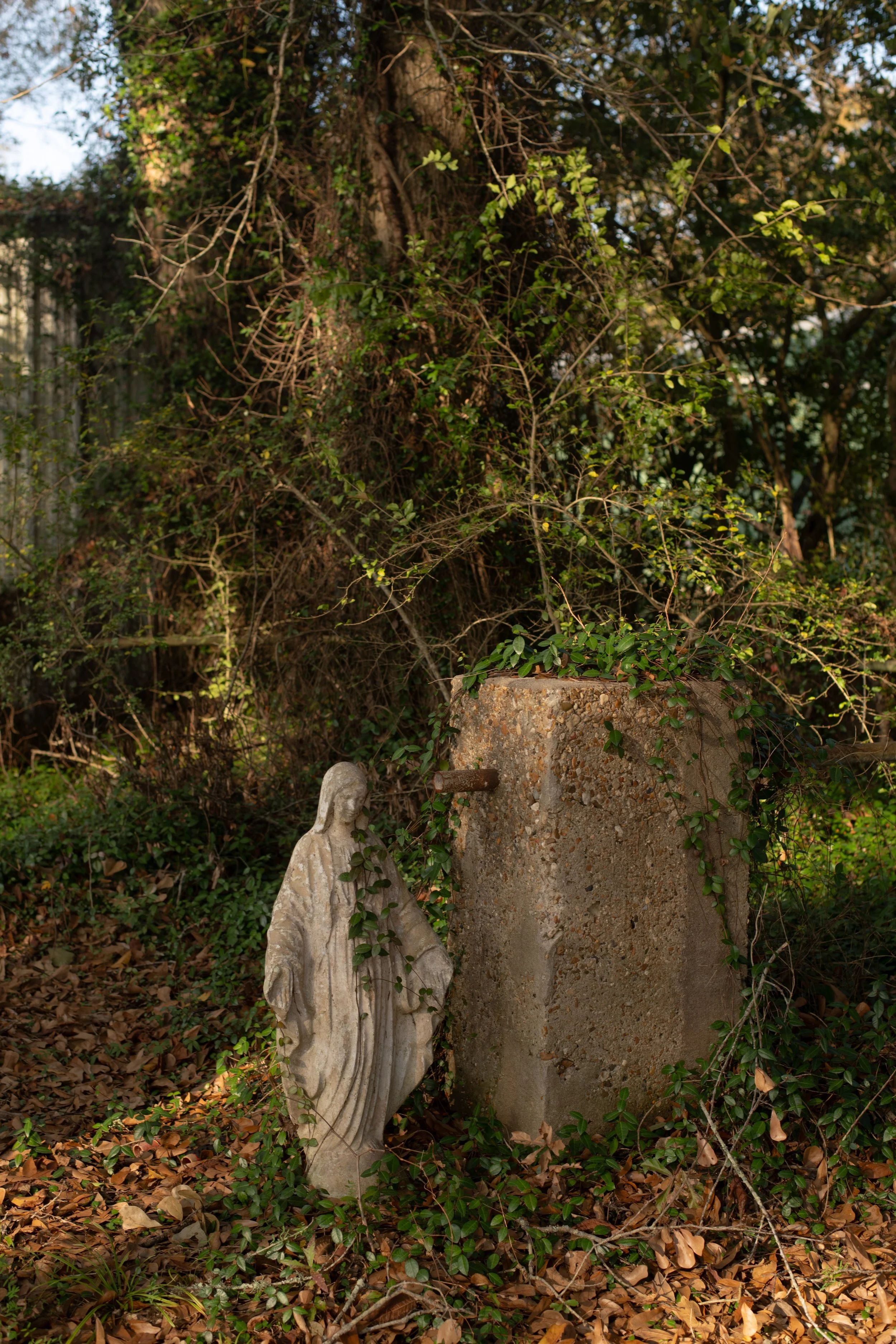 DSC_2264.jpg