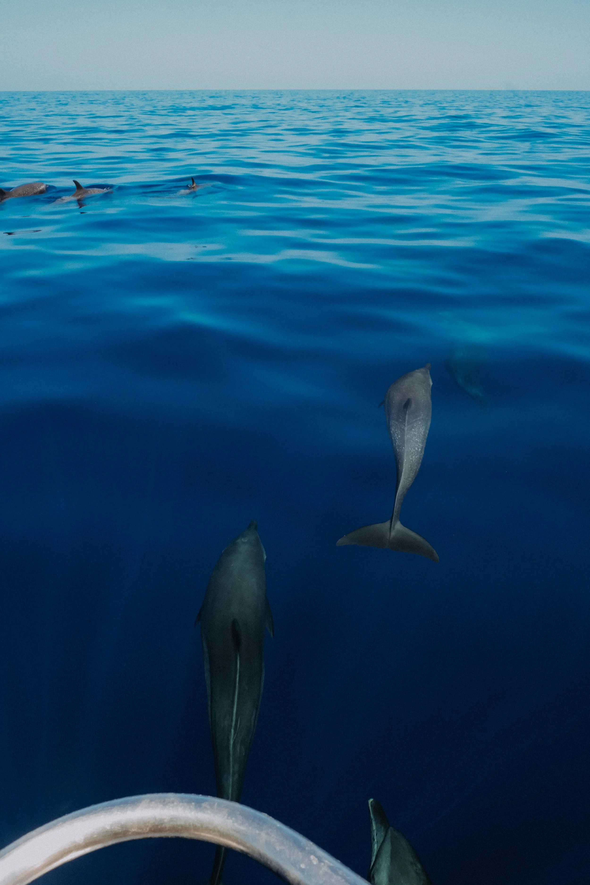DSCF5740.jpg