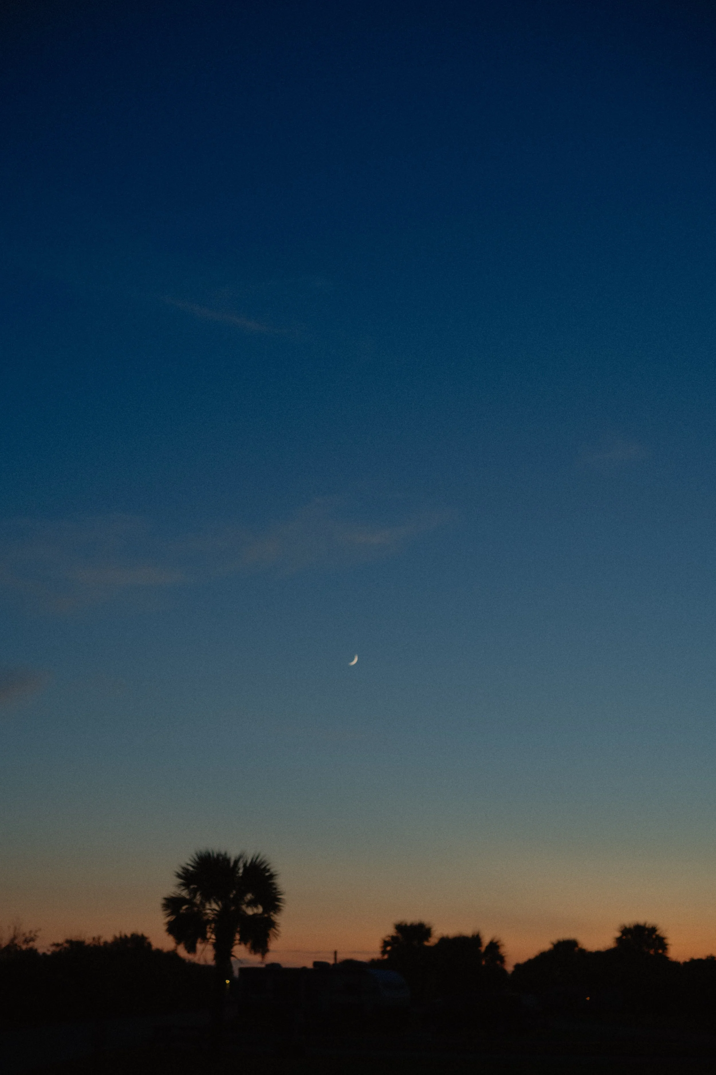 DSC_1263.jpg