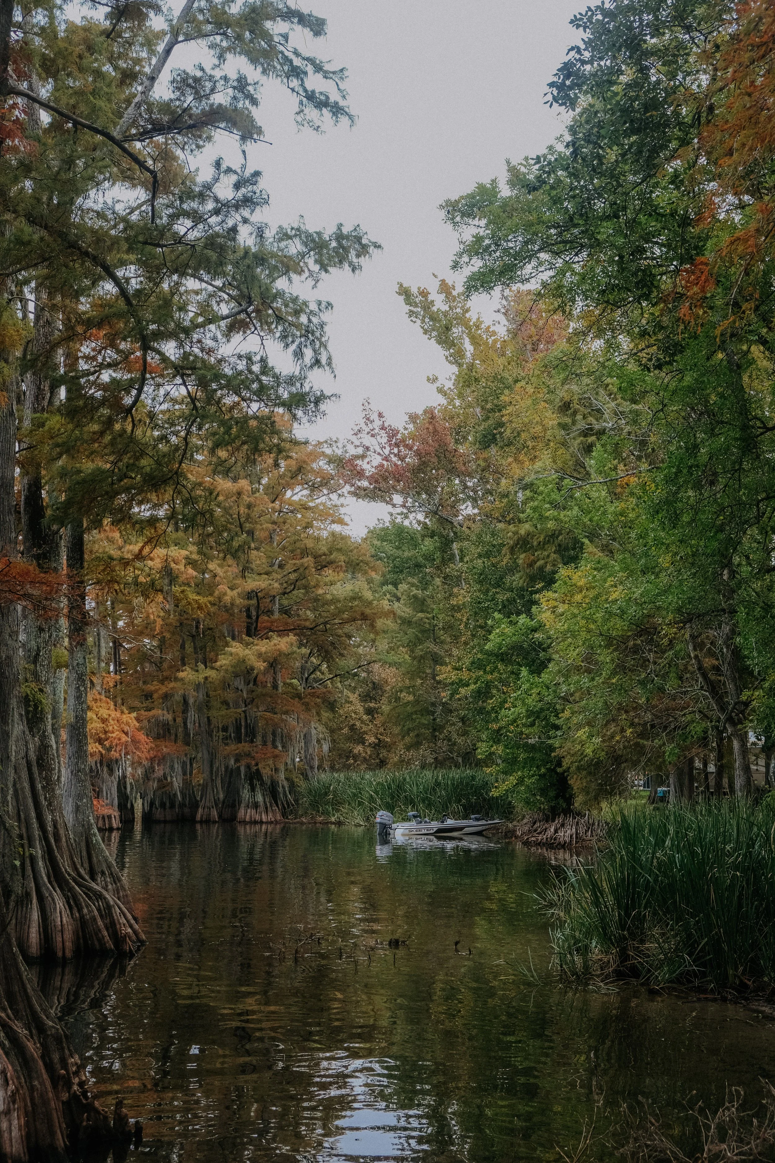 Lake Bruin State Park