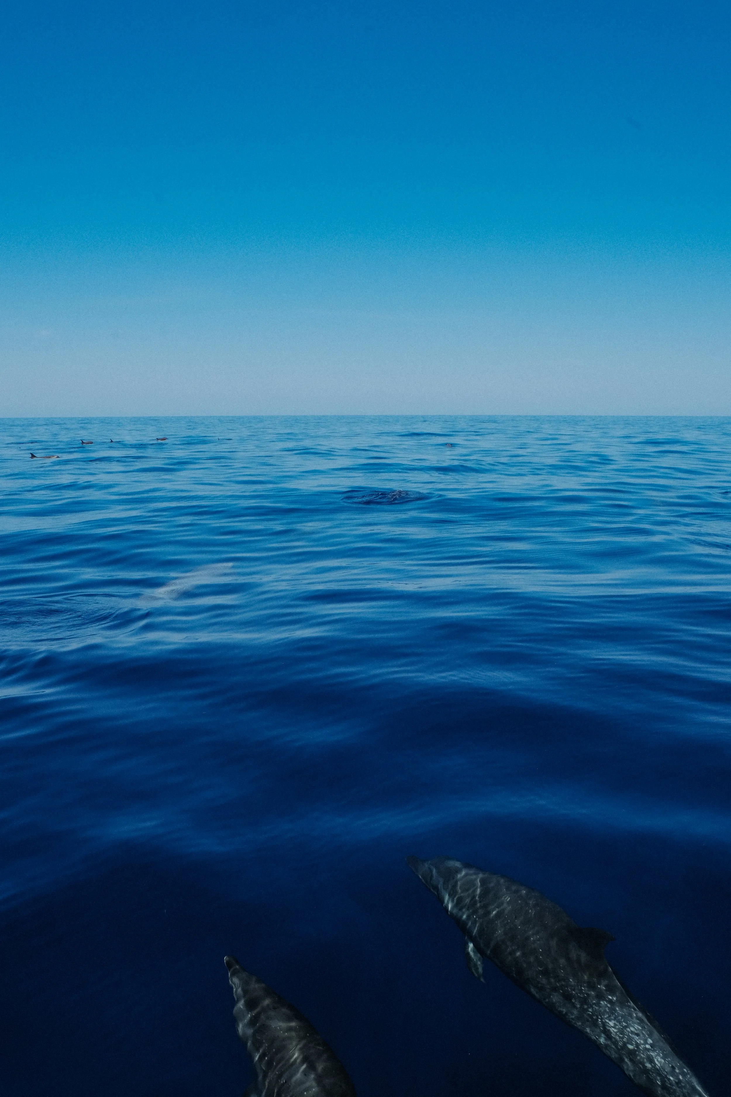 DSCF5732.jpg