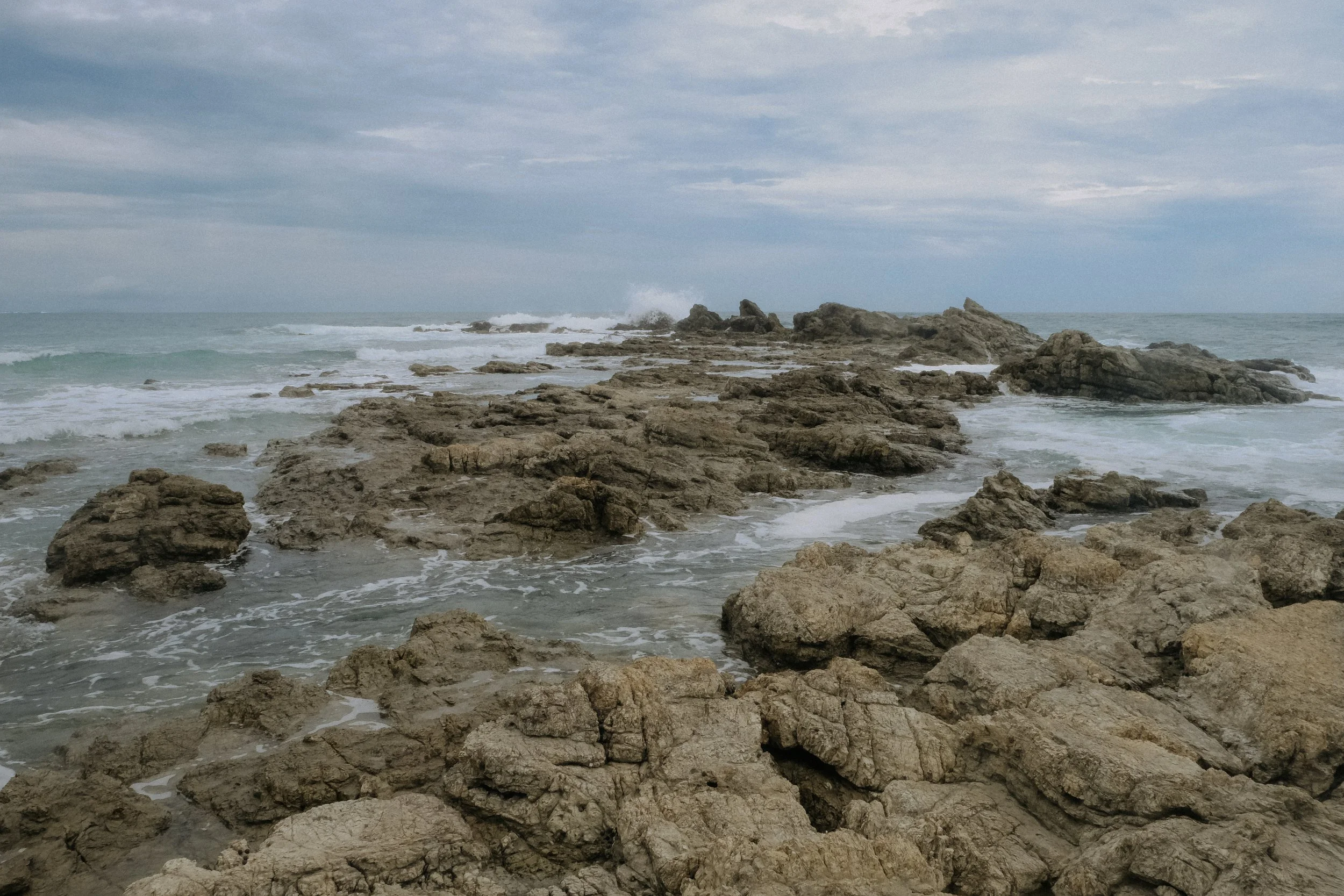 DSCF6101.jpg
