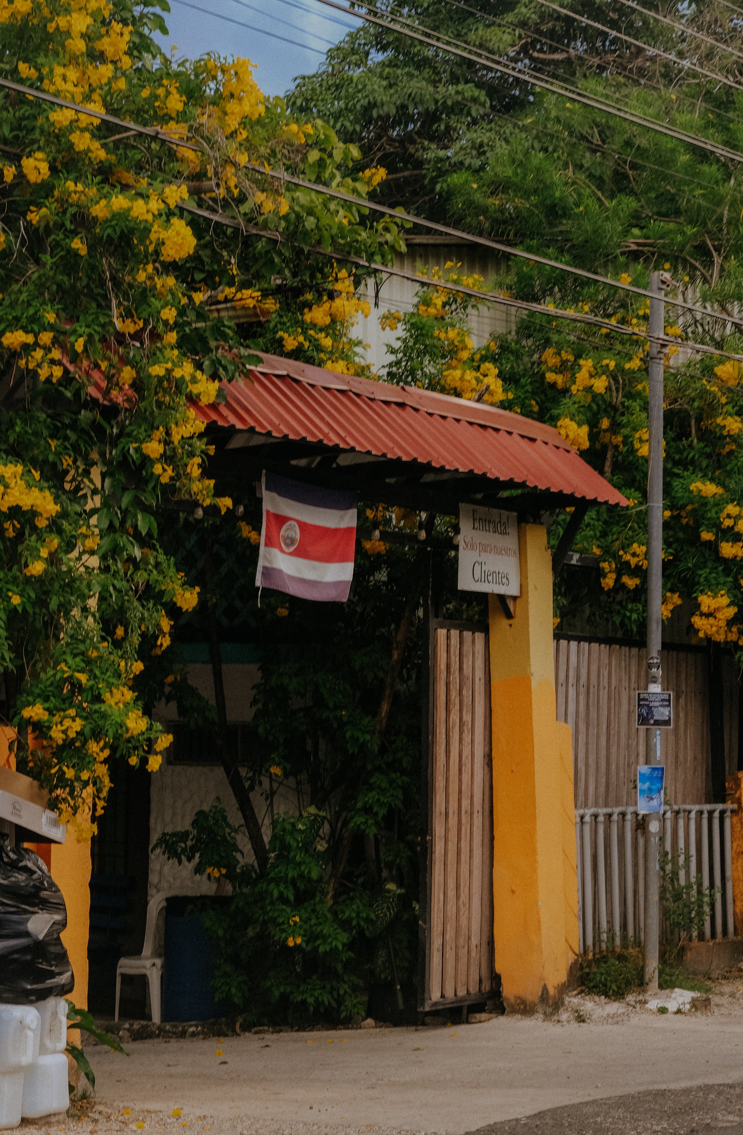 DSCF5852.jpg
