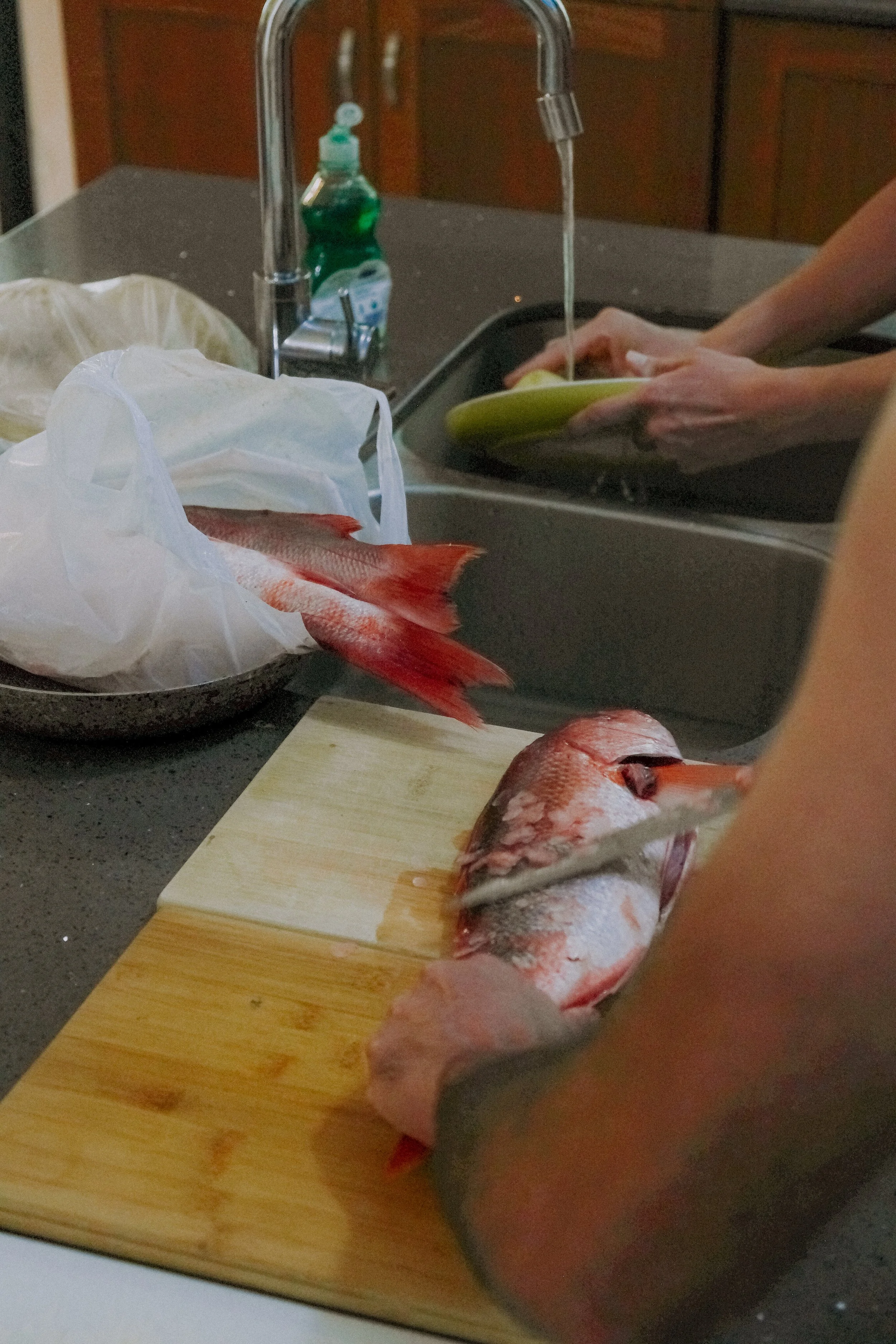DSCF5961.jpg
