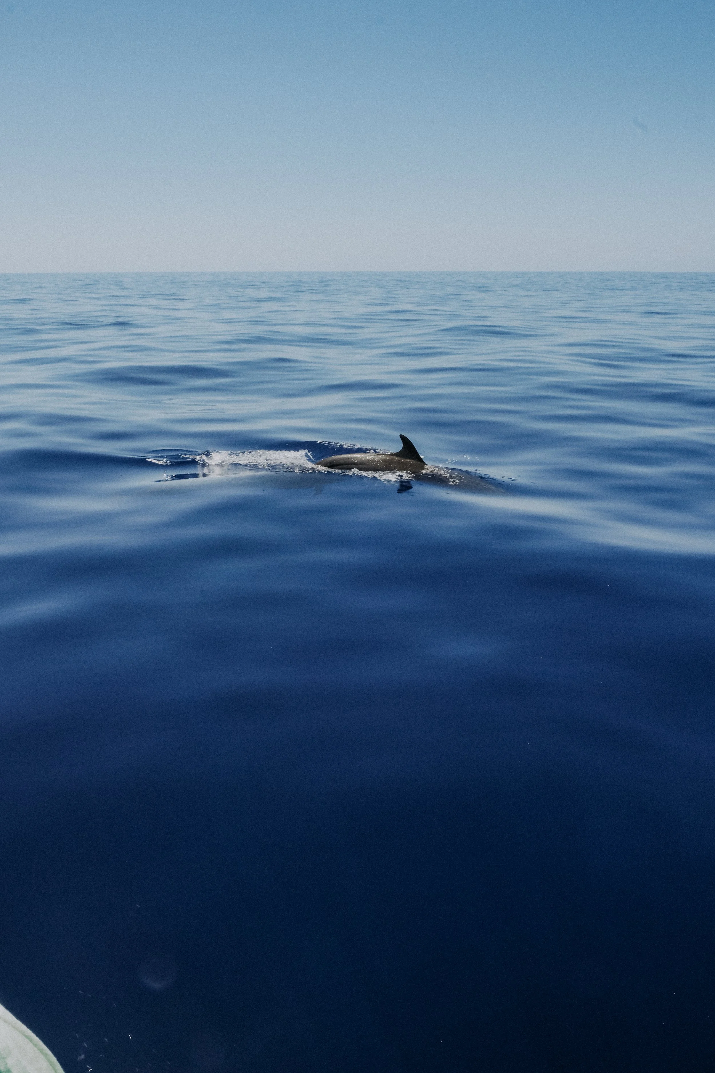 DSCF5750.jpg