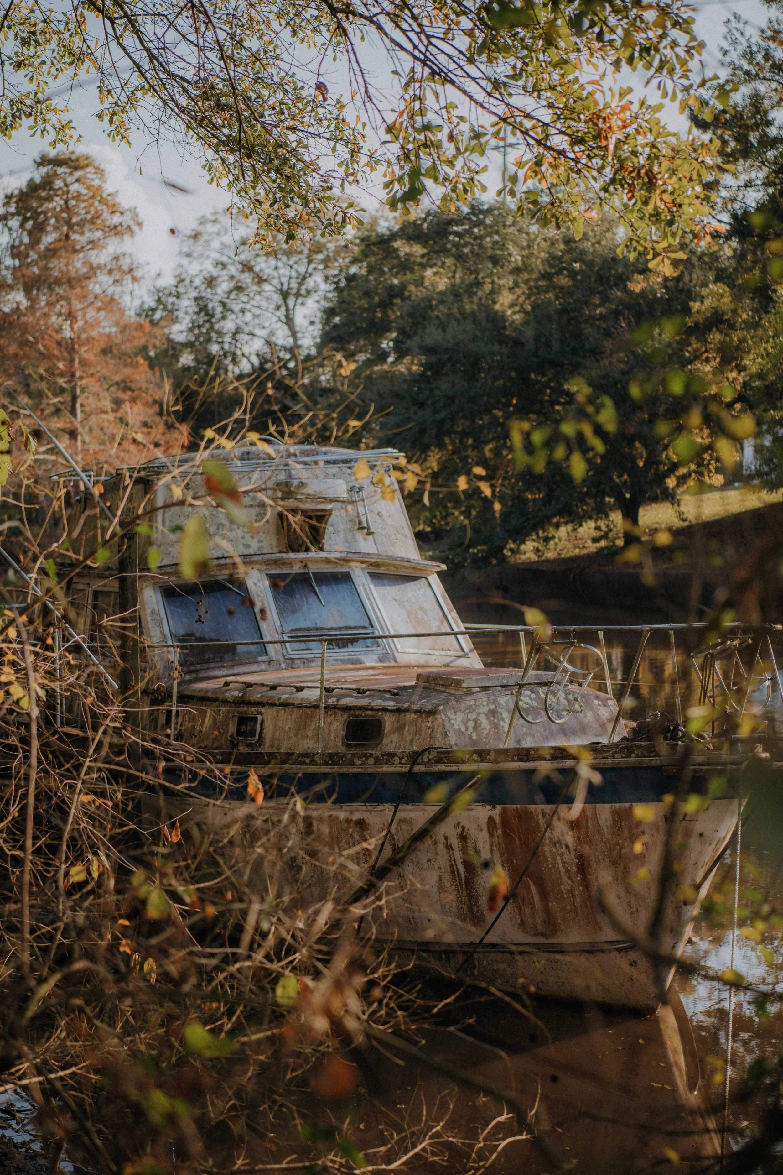 DSC_2308.jpg
