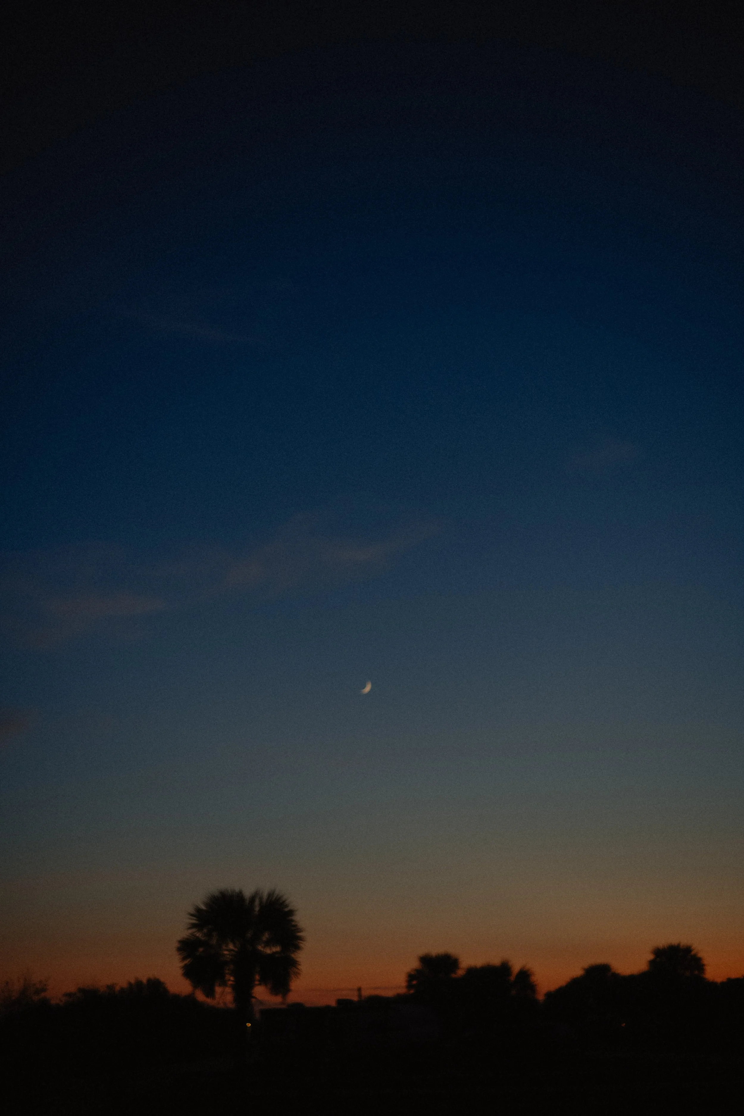 DSC_1266.jpg