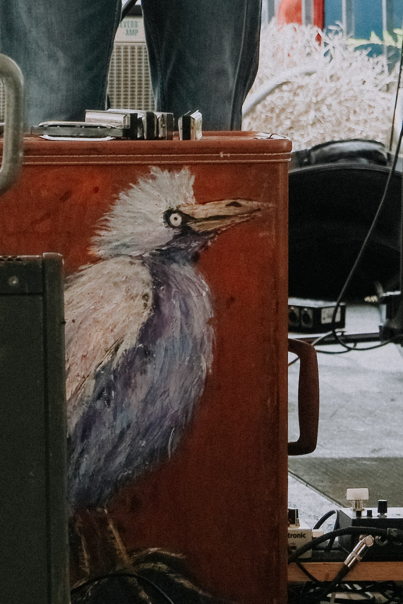 DSCF4618.jpg