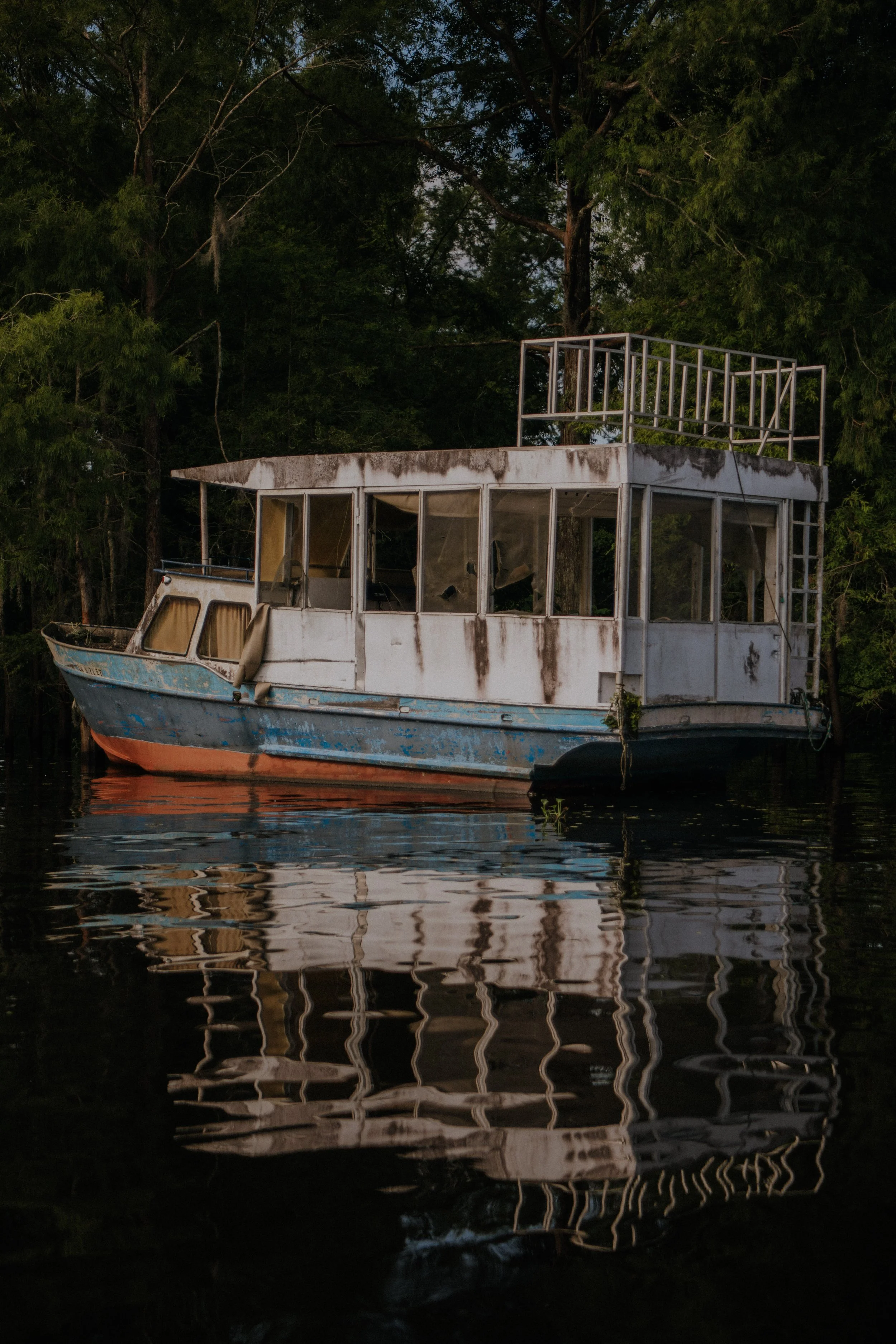 DSC_7240.jpg