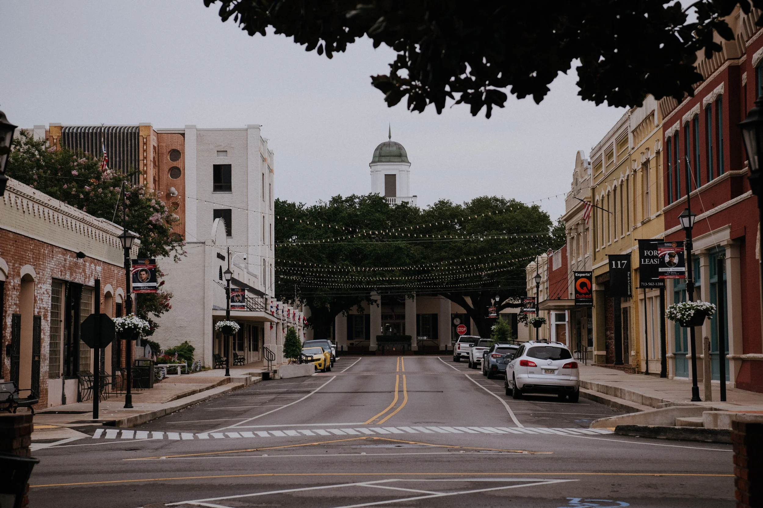 DSC_1239.jpg
