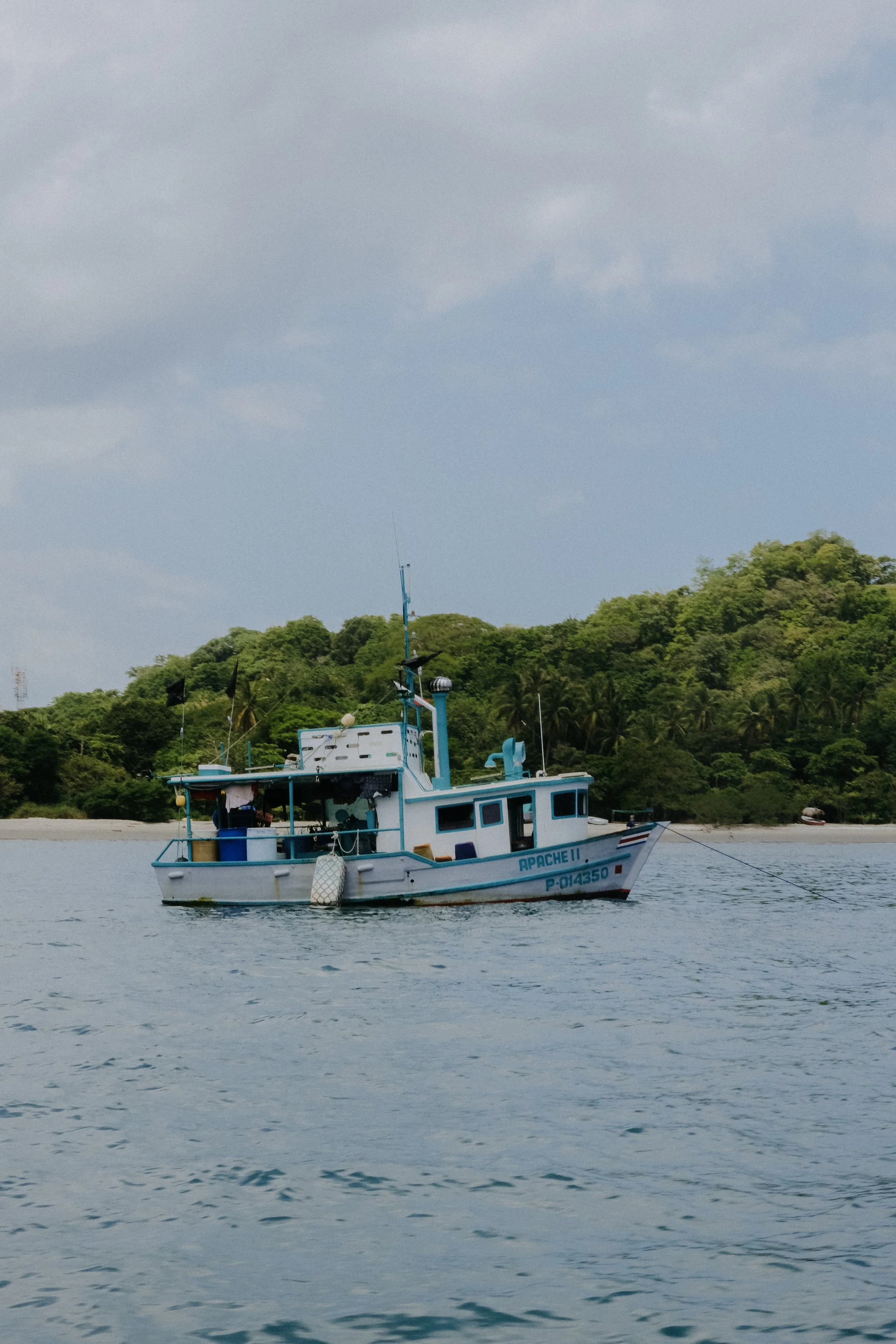DSCF5806.jpg