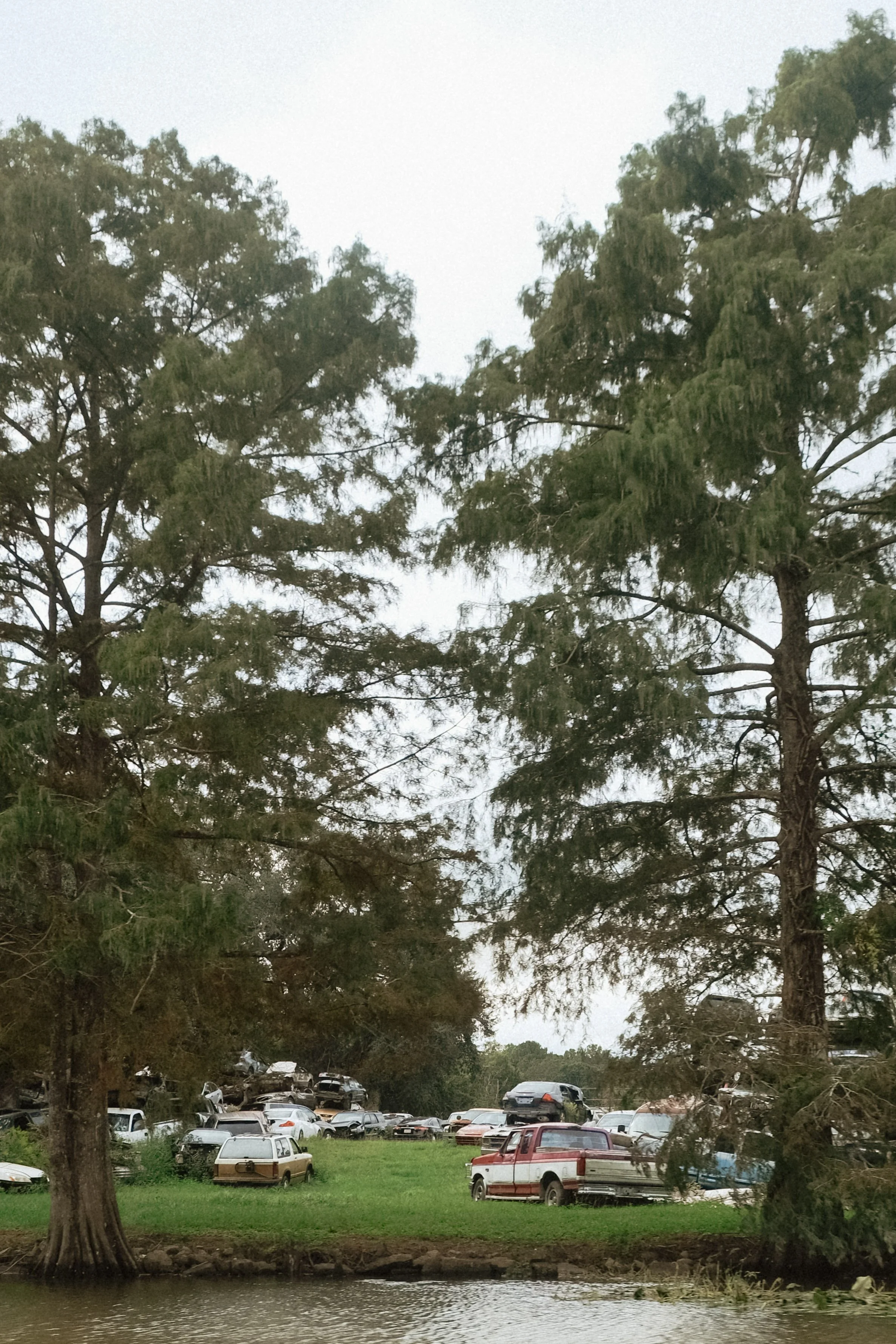 DSCF3351.jpg