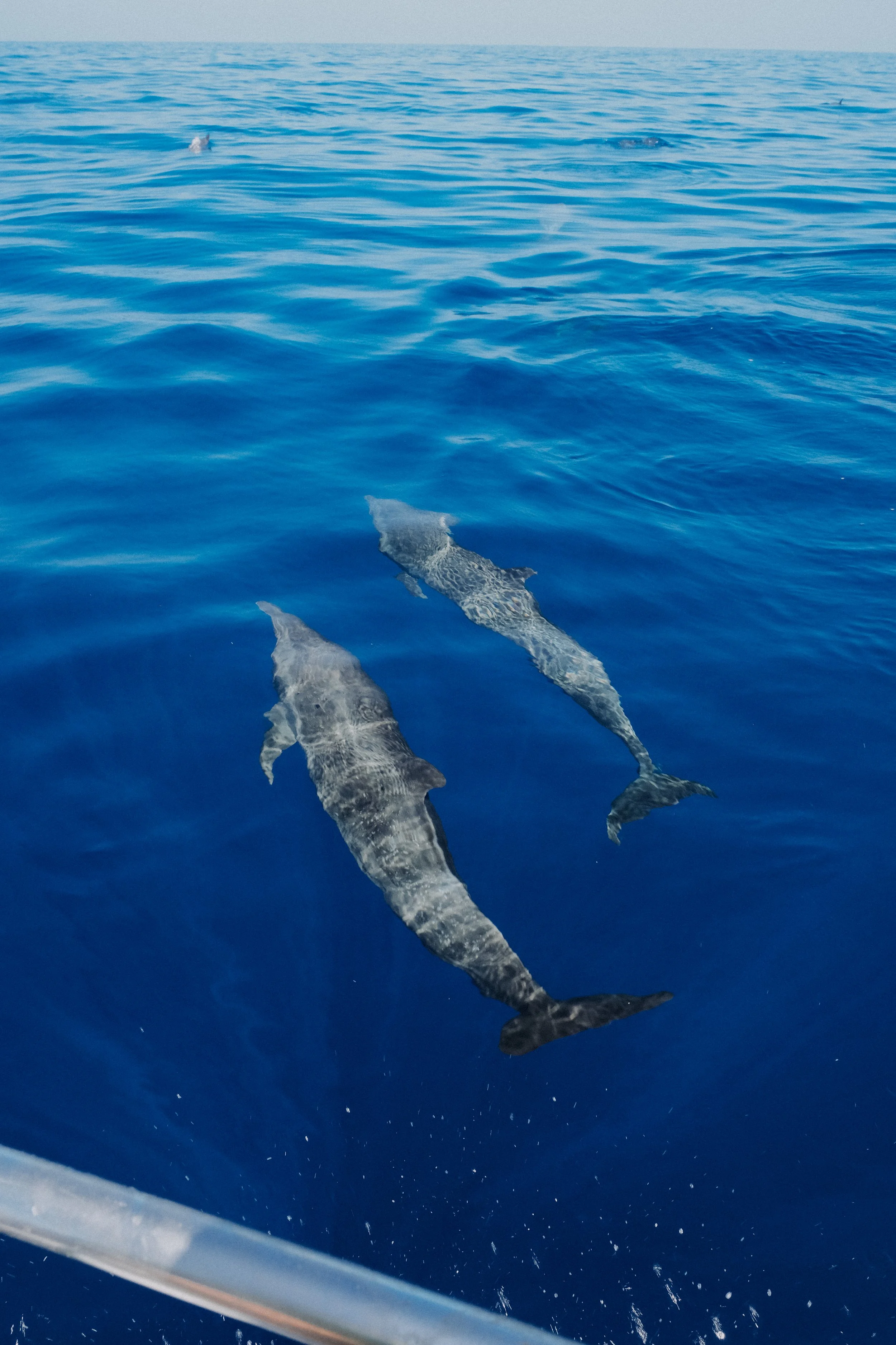 DSCF5731.jpg