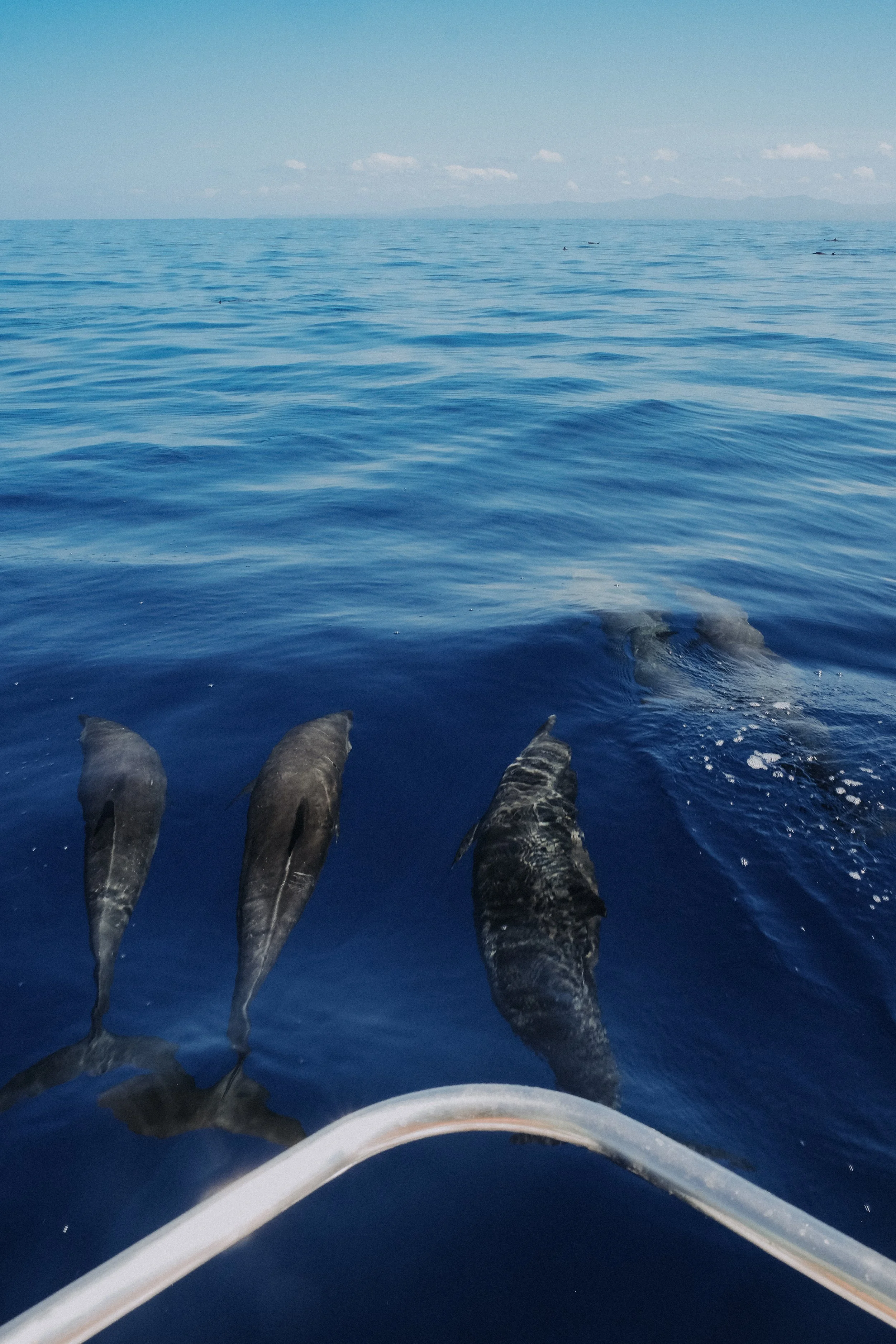 DSCF5768.jpg