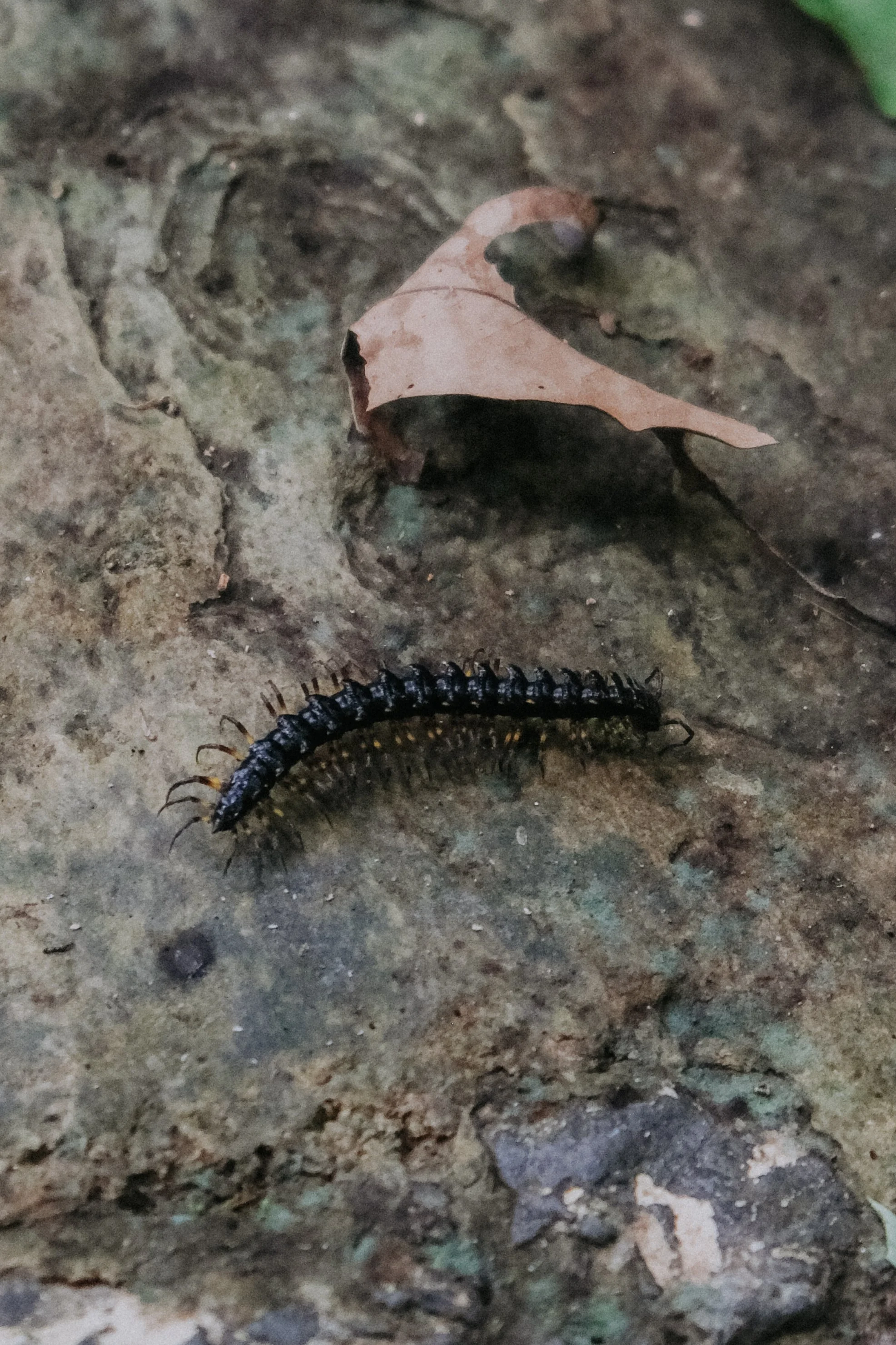 DSCF5969.jpg