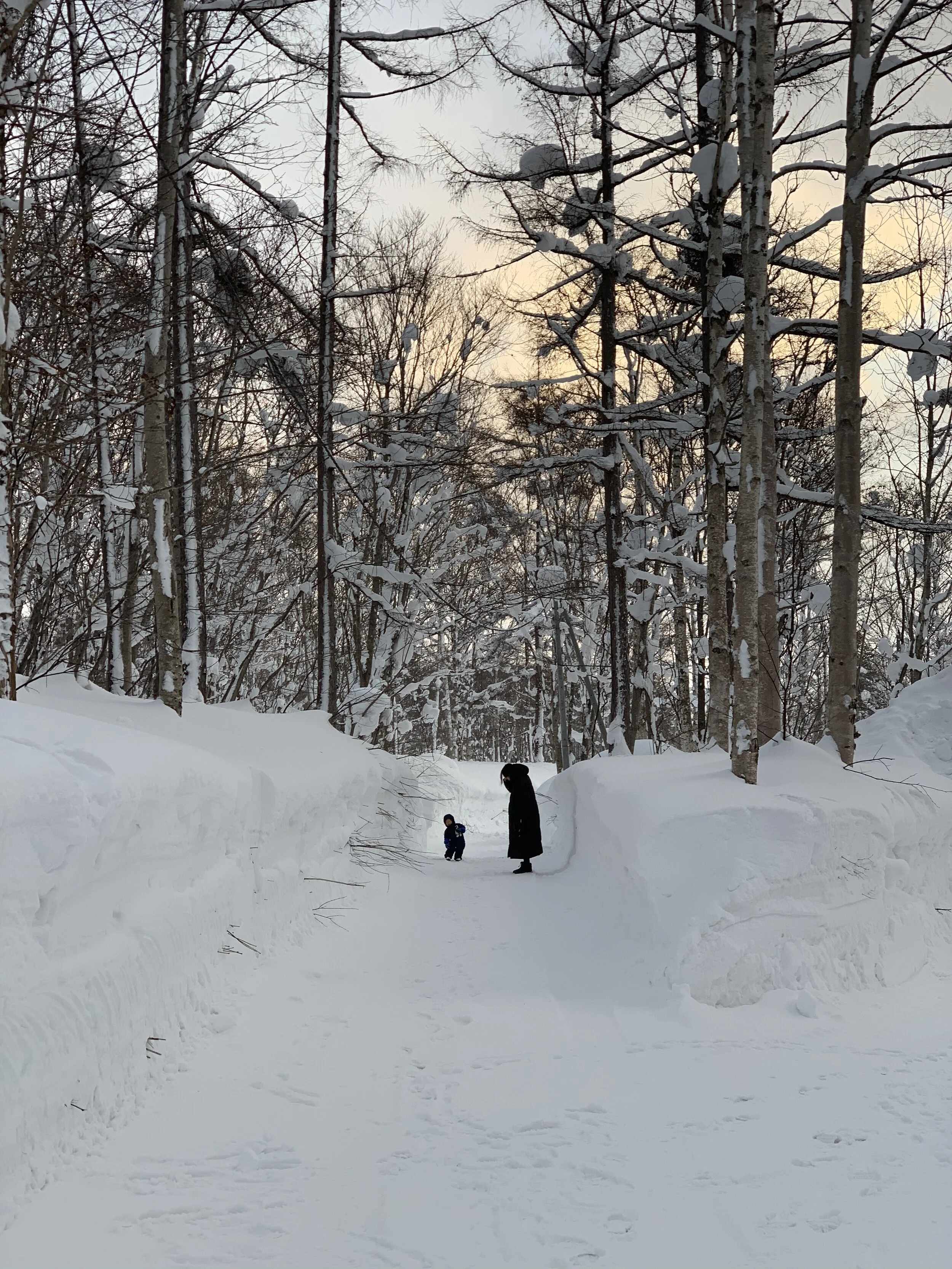 Settling back into Niseko - House Renovations so far. 27/01/2021